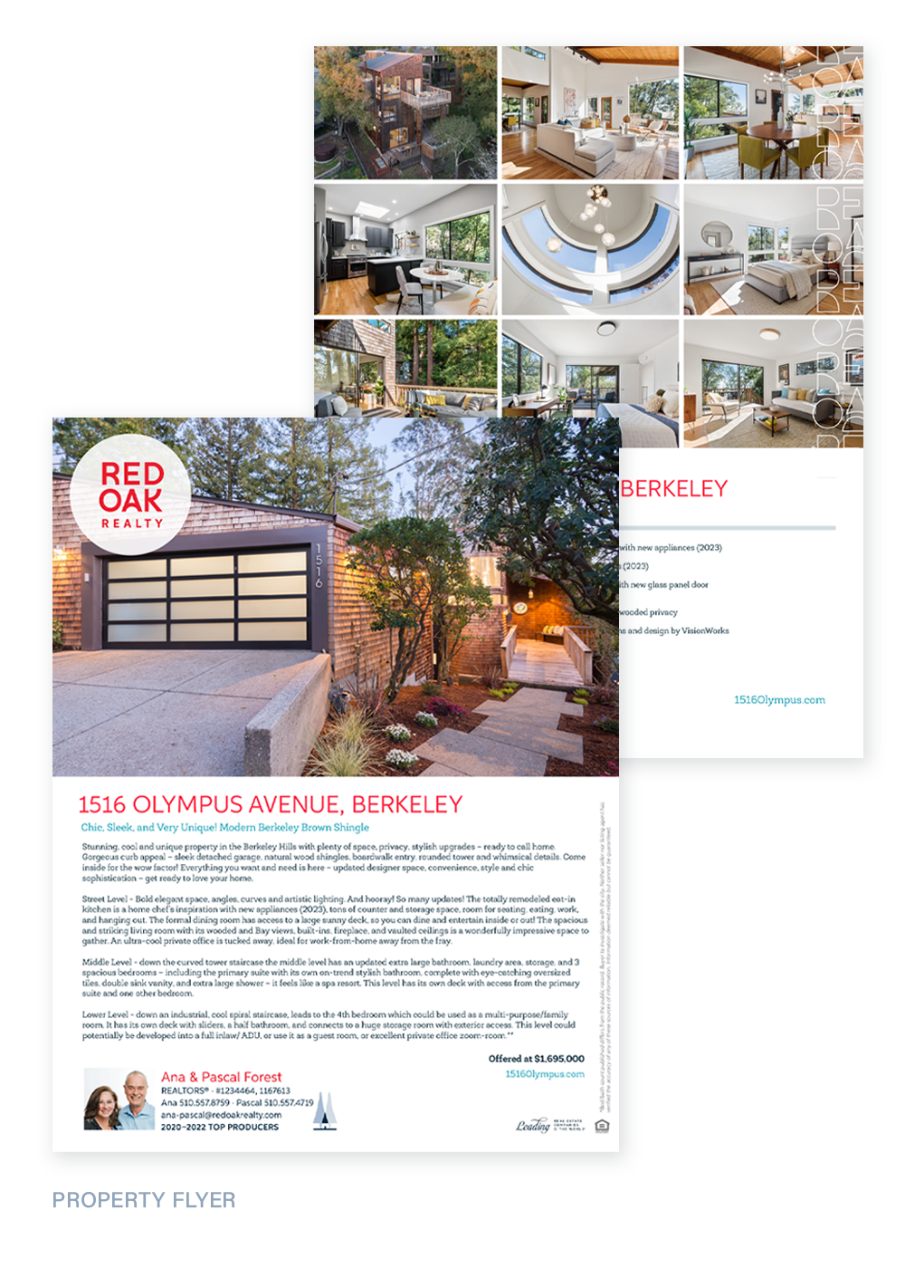caseStudy_Olympus_flyer_clear.png