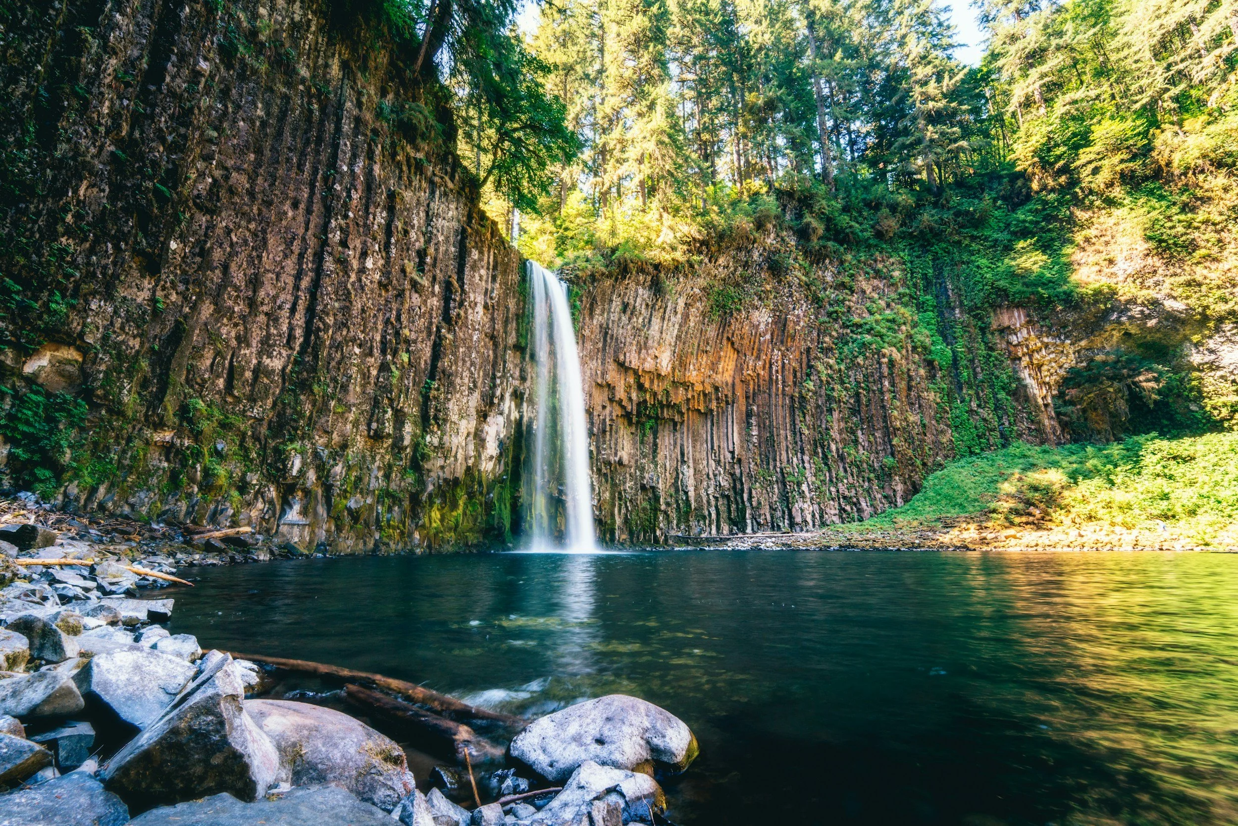 A waterfall flowing over a rocky cliff into a pool below, surrounded by lush green trees and foliage in a forest.