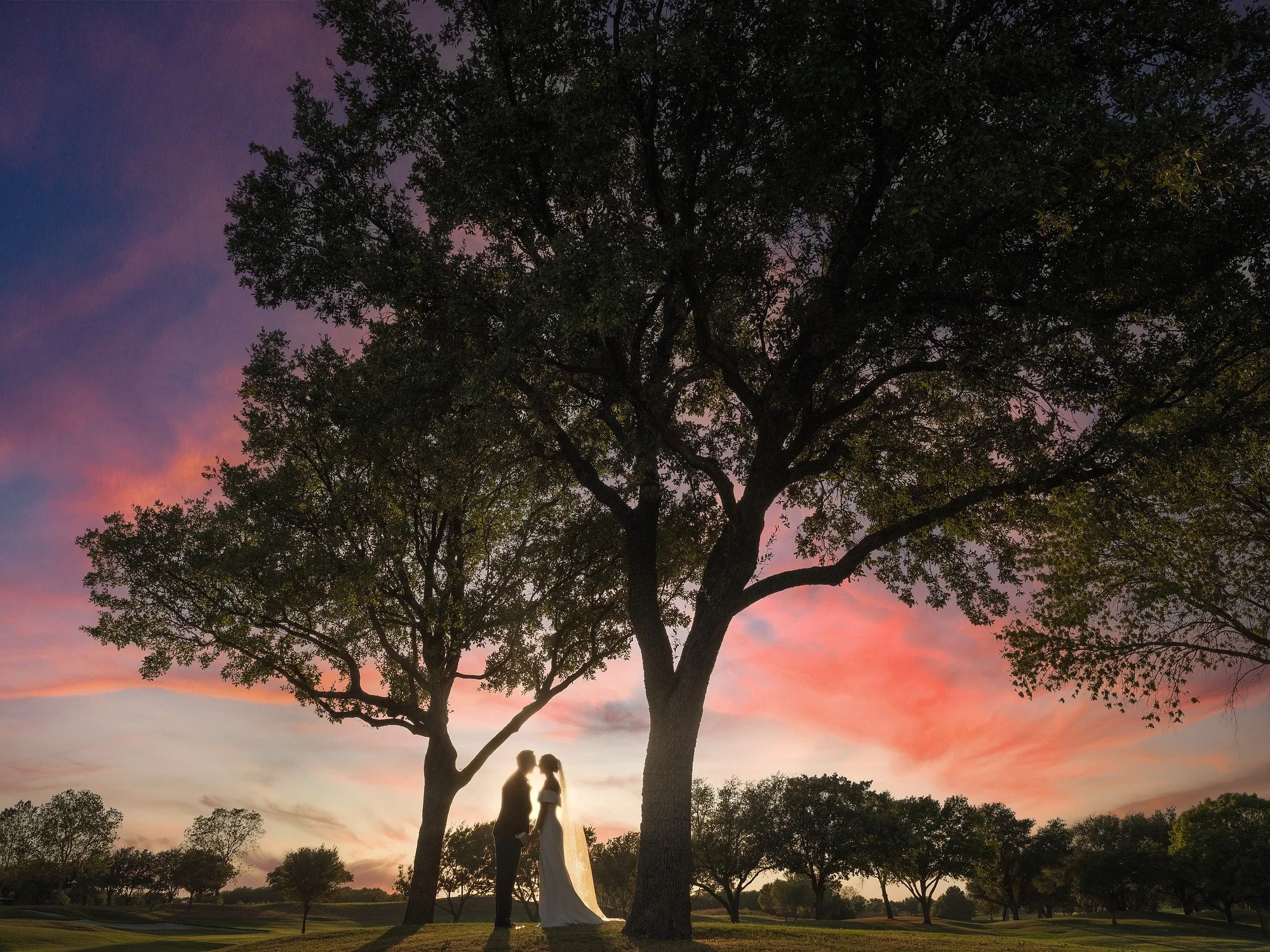 Silhouetted couple standing under trees during sunset, with pink and purple clouds in the sky.