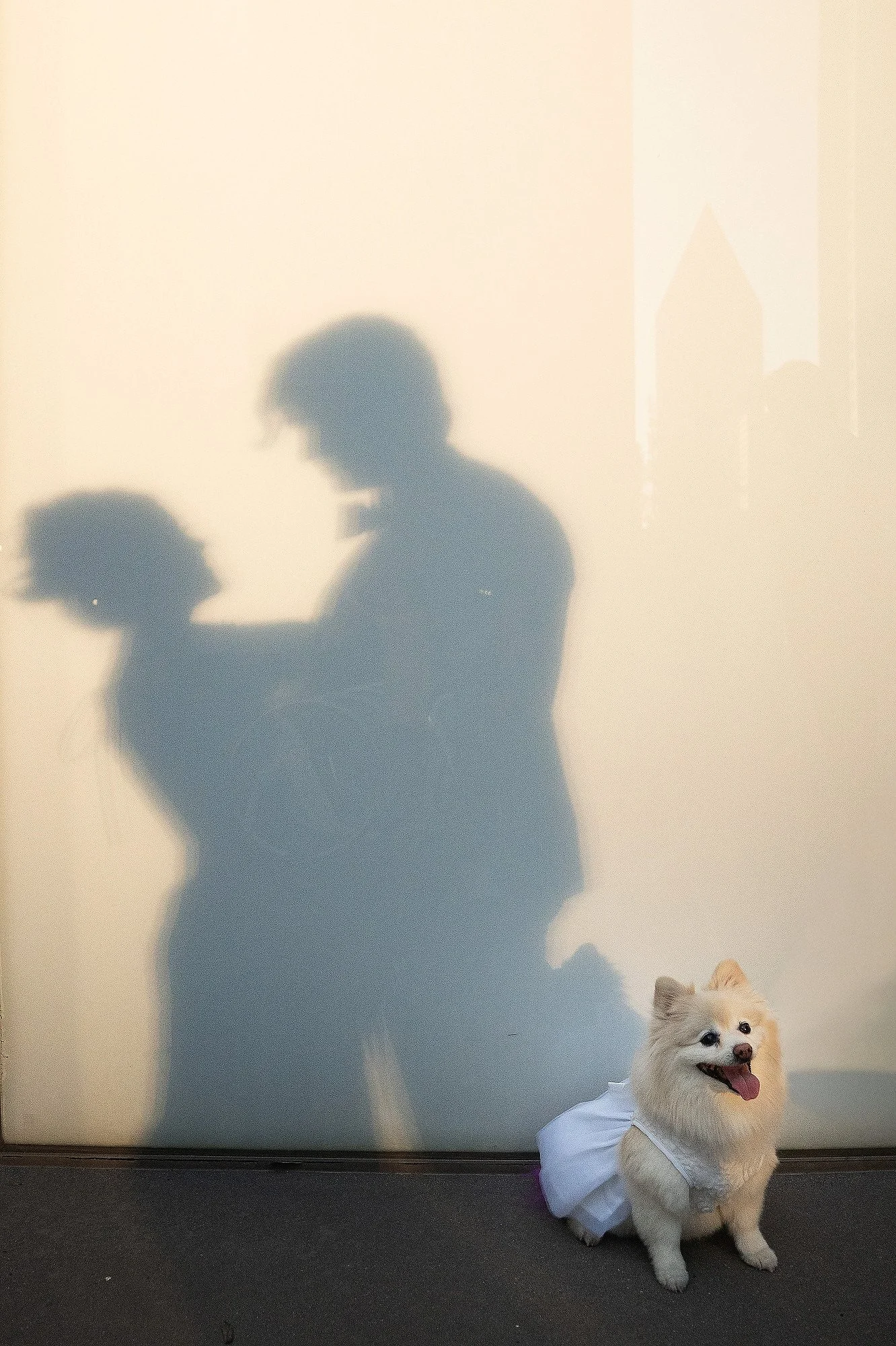 Dallas Best Wedding Photography 0042.JPG