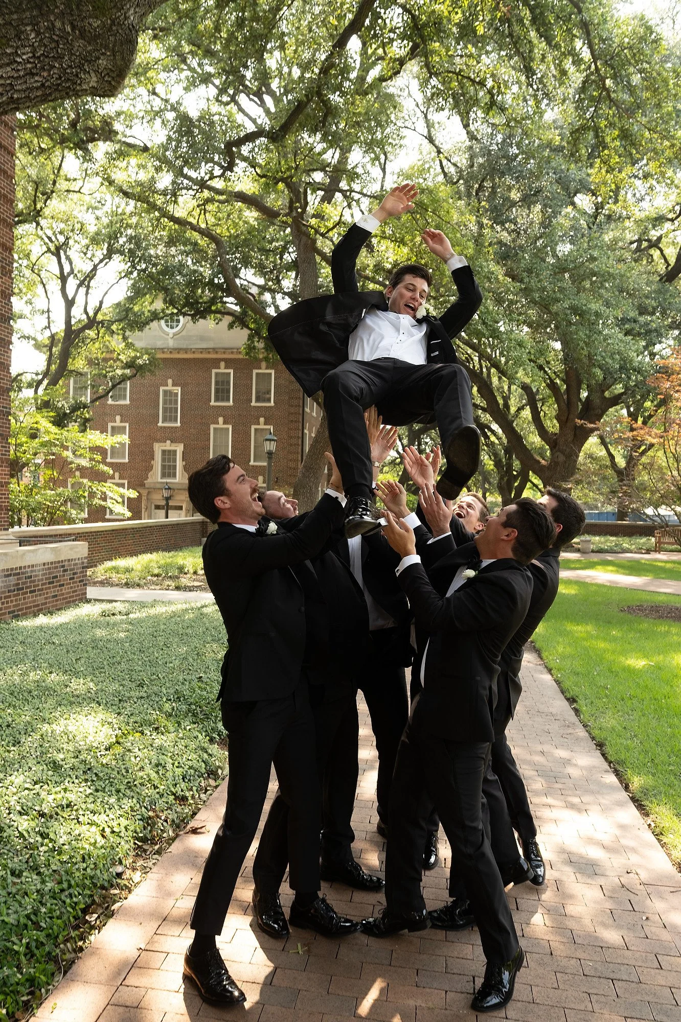 A group of men in tuxedos lifting another man in a tuxedo into the air in a park with trees and brick buildings in the background.