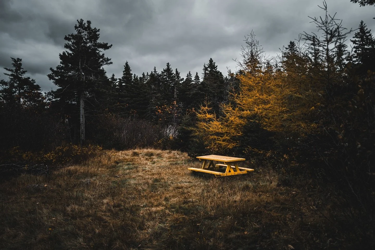 Dark and light always together in an eternal dance. 🍂