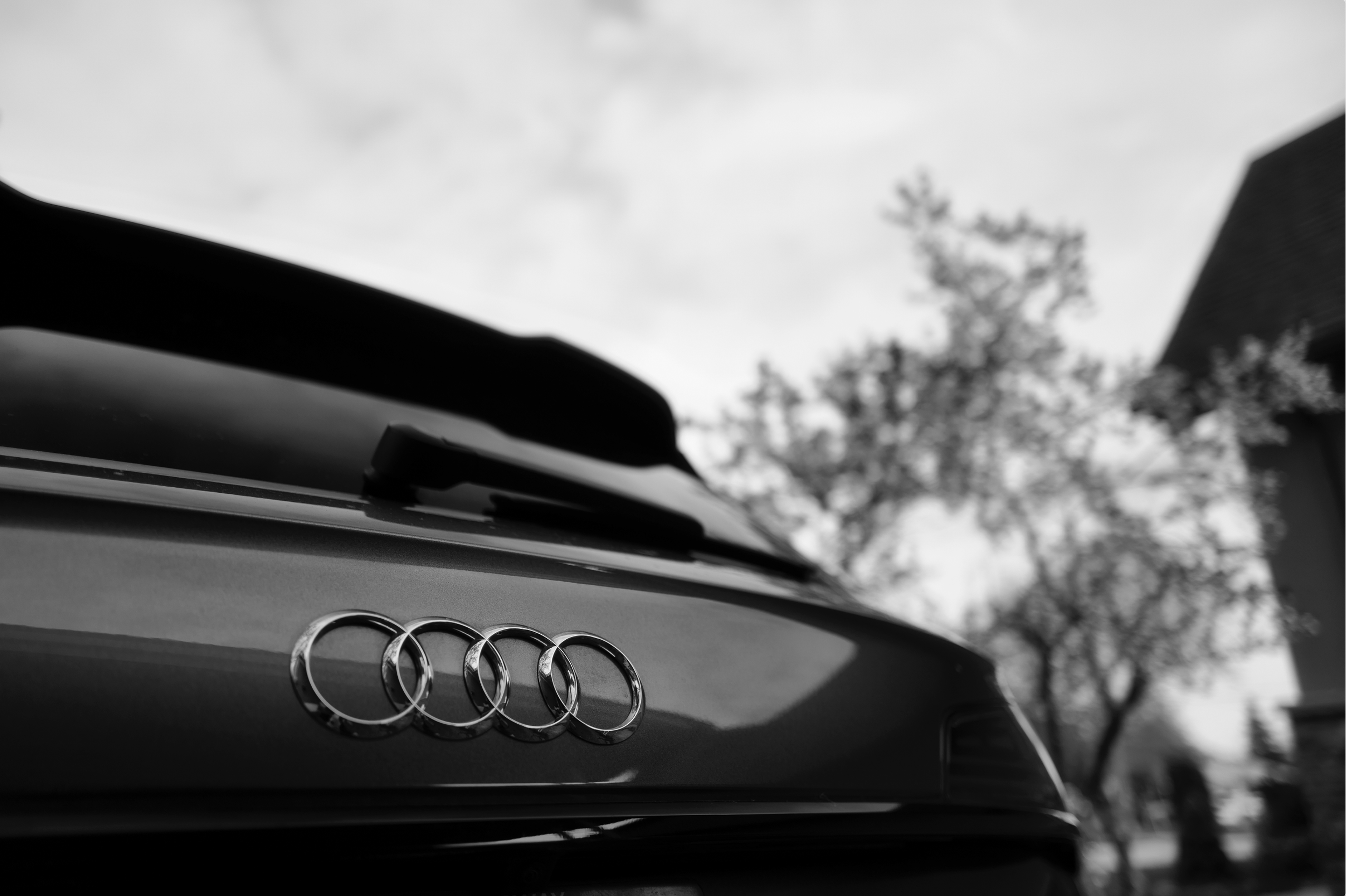 Screenshot 2024-12-27 at 2.50.06 PM.png