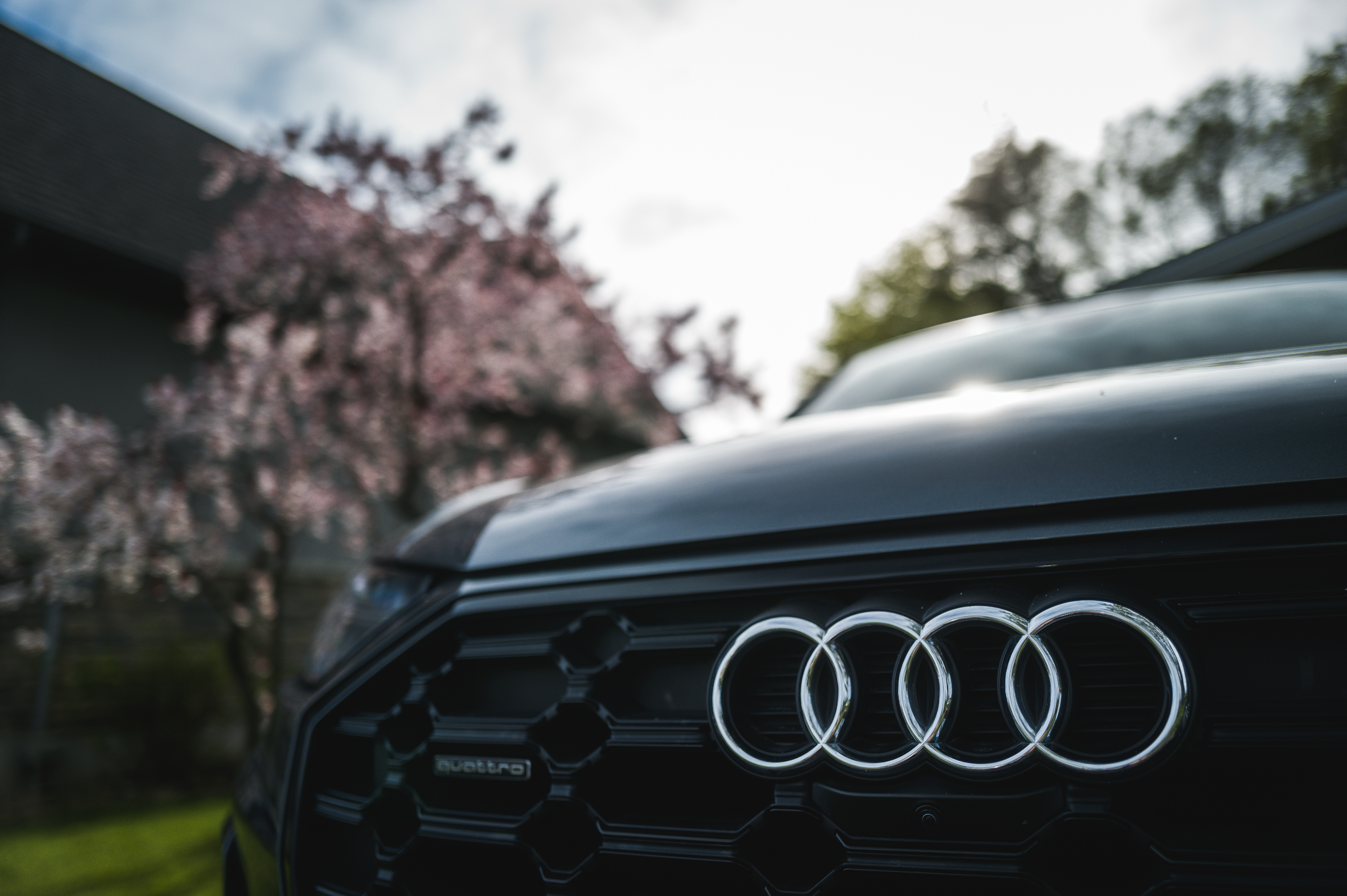 Screenshot 2024-12-27 at 2.48.53 PM.png