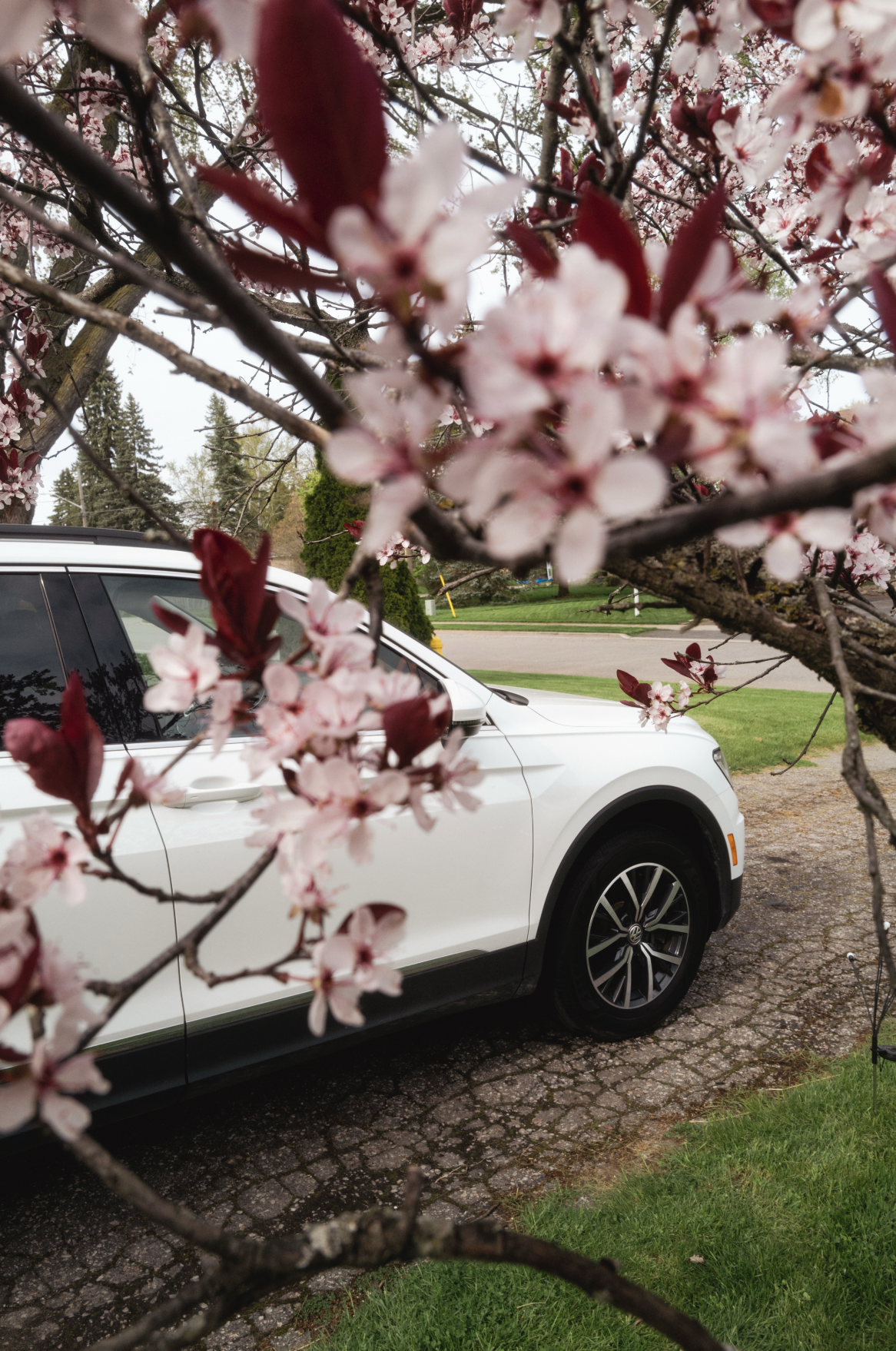 Screenshot 2024-12-27 at 2.47.29 PM.png