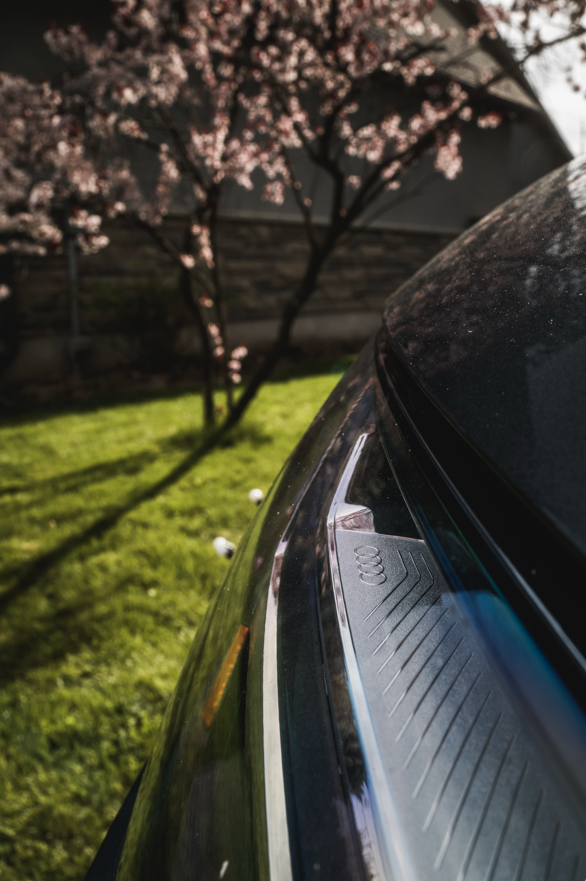 Screenshot 2024-12-27 at 2.47.52 PM.png