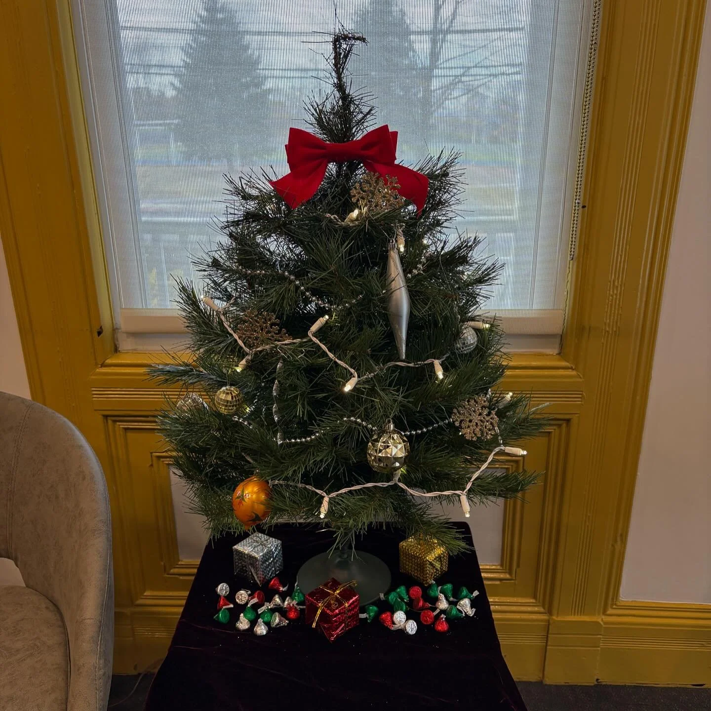 The holidays are in full swing at Terri Optics! Stop by today for all of your eye care needs! Glasses make a great gift! 😎🤓
#terrioptics