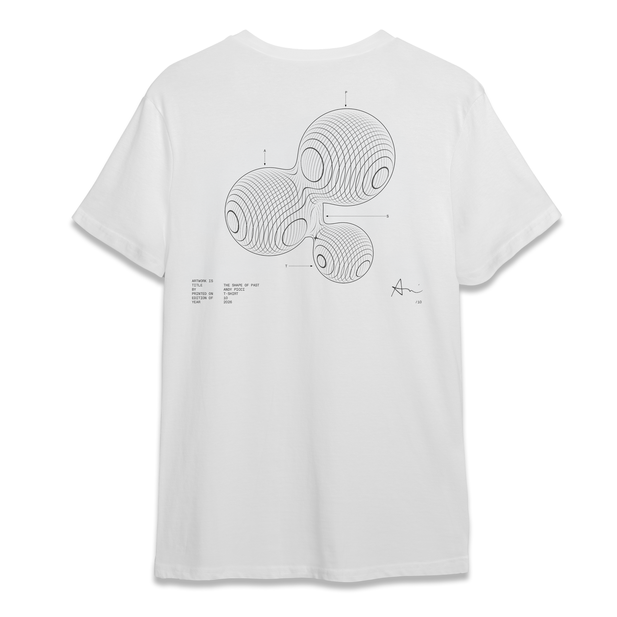 the shape of past_©2026_andypicci_t-back.png