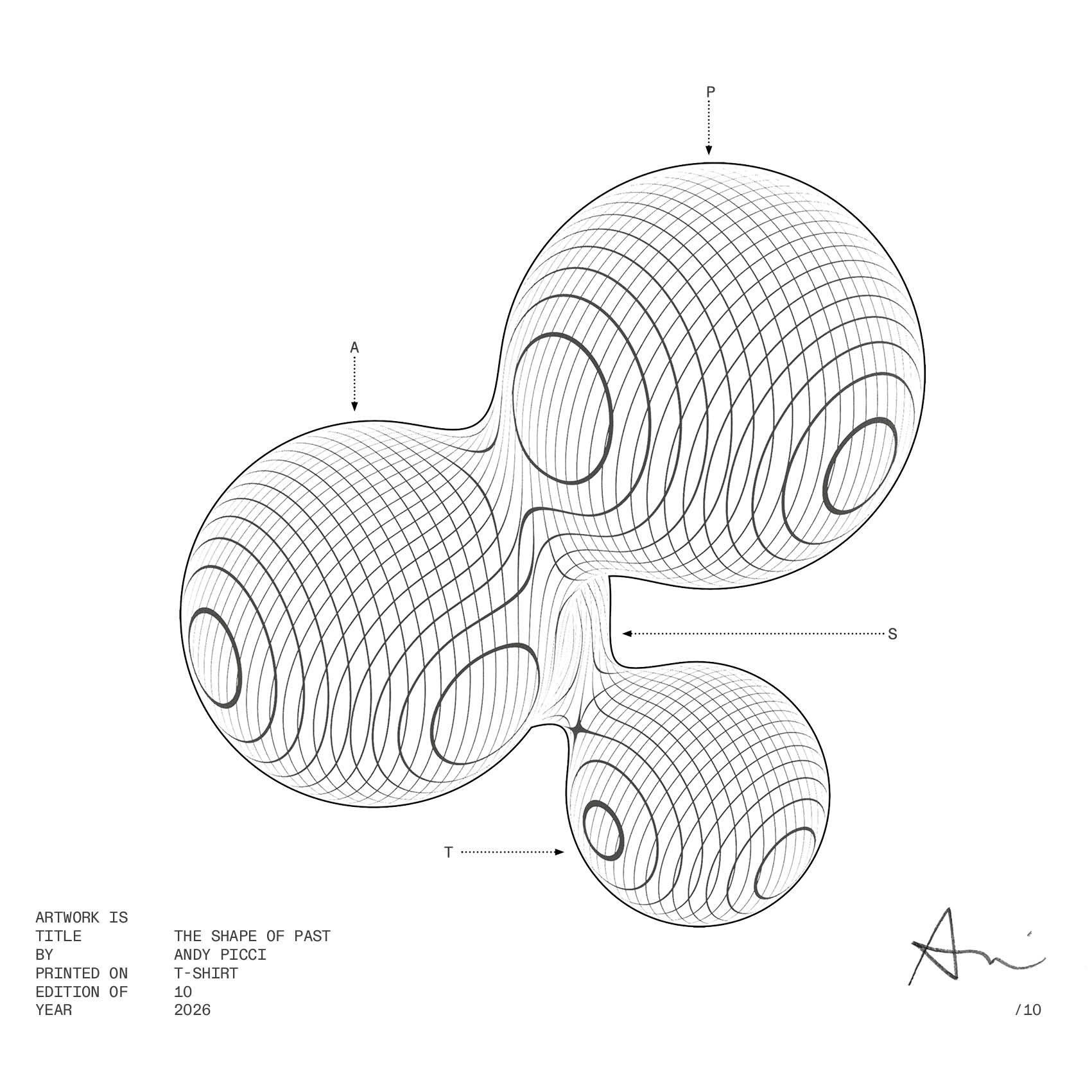 the shape of past_©2026_andypicci_T-SHIRT BACK.jpg