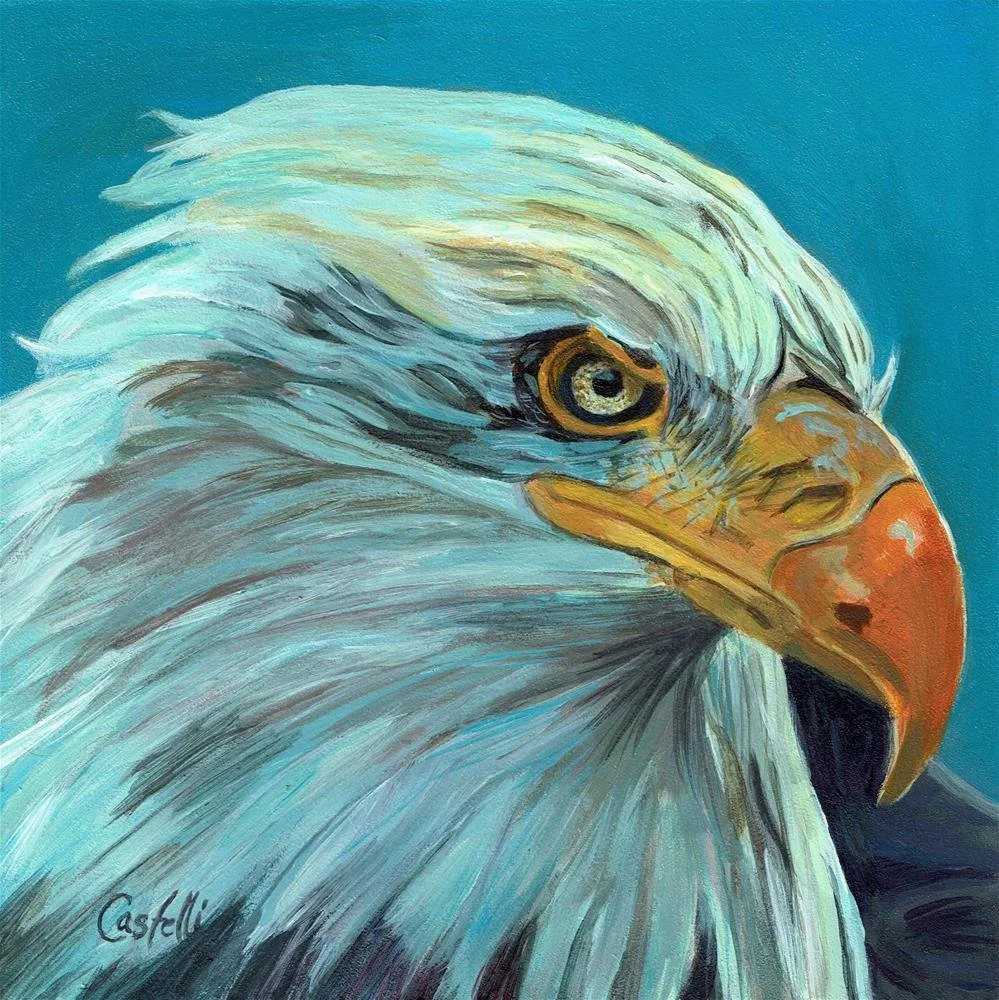 Haliaeetus leucocephalus (Bald Eagle) 7_17_18.jpg