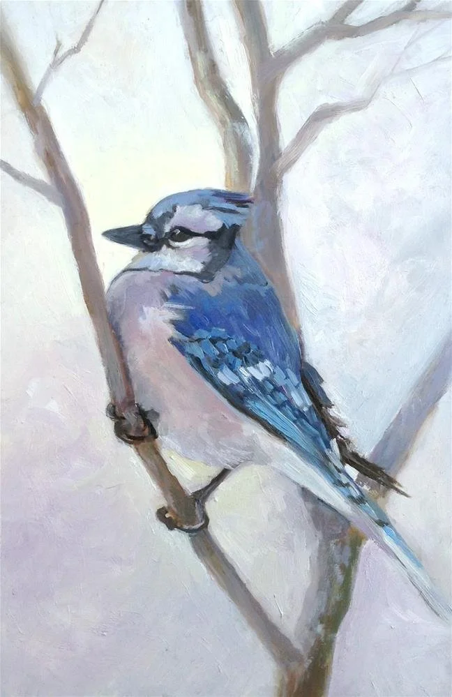 Bluejay in Winter2_23.jpg
