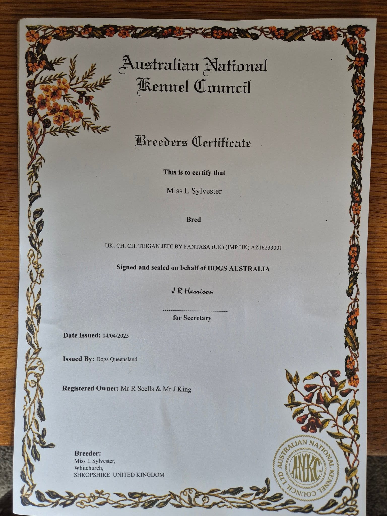 Lovely surprise in the post this morning
My breeder certificate for Obi gaining his Australian Title π
Forever grateful to Liz Dunhill & Michaella Dunhill-Hall for campaigning him to his UK Title &
JohnRay King for campaigning him to his A