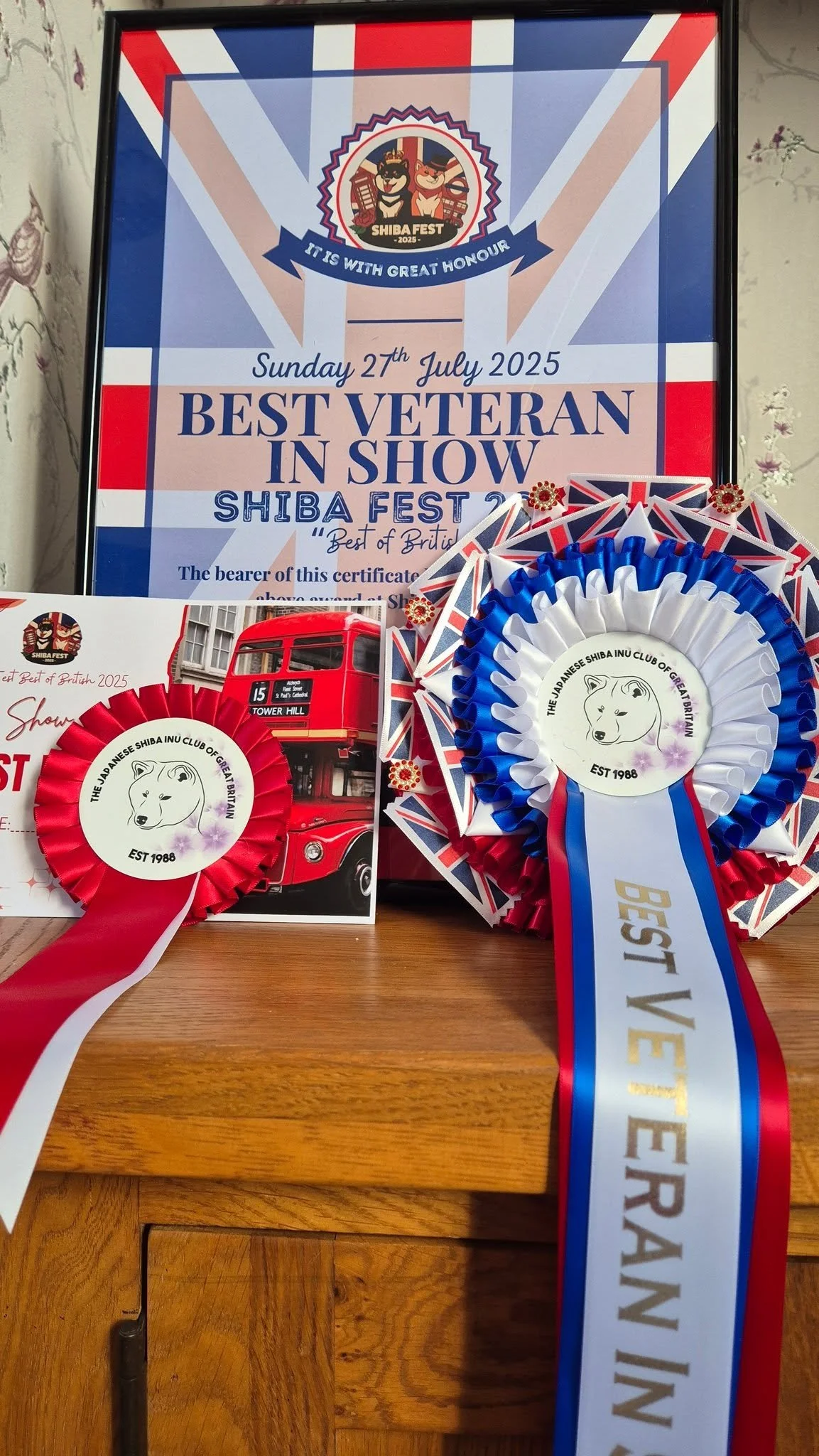 What can I say.....😍
My Ginger Son did me proud at his annual trip to Shiba Fest!!
Fabulous event all for a worthy cause, for the health of this fantastic breed.❤️