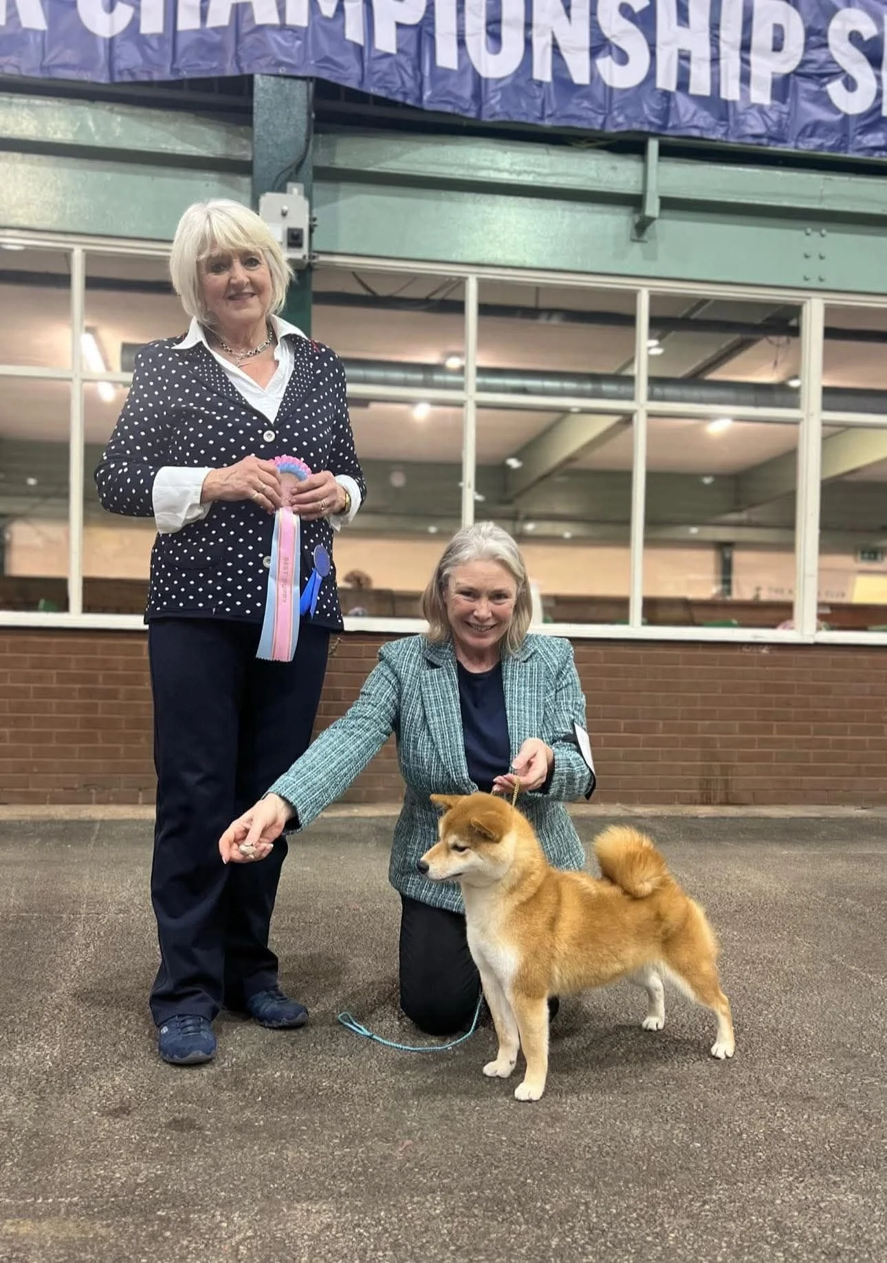 Had a fabulous day at Manchester Champ Show supporting Helen &amp; Emily showing their rottweiler puppies &amp; me showing my Shiba Puppy

TEIGAN MINNASOTA
1st Special Beginners 
MRC OPEN SHOW - 4th MPB
Job Done ✔️, So proud of you Emily 👏 

TEIGAN 