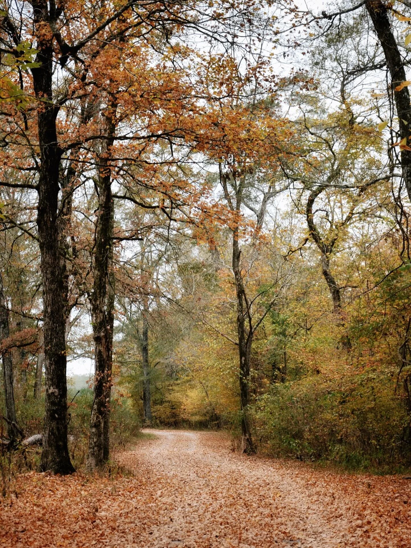 Five thousand acres, a hundred hidden corners. Take your time, it’s worth every step.