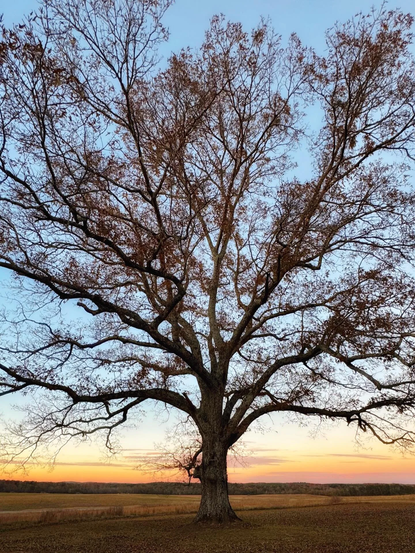 Another little phone shot mid venue tour. This place insists on catching us off guard.