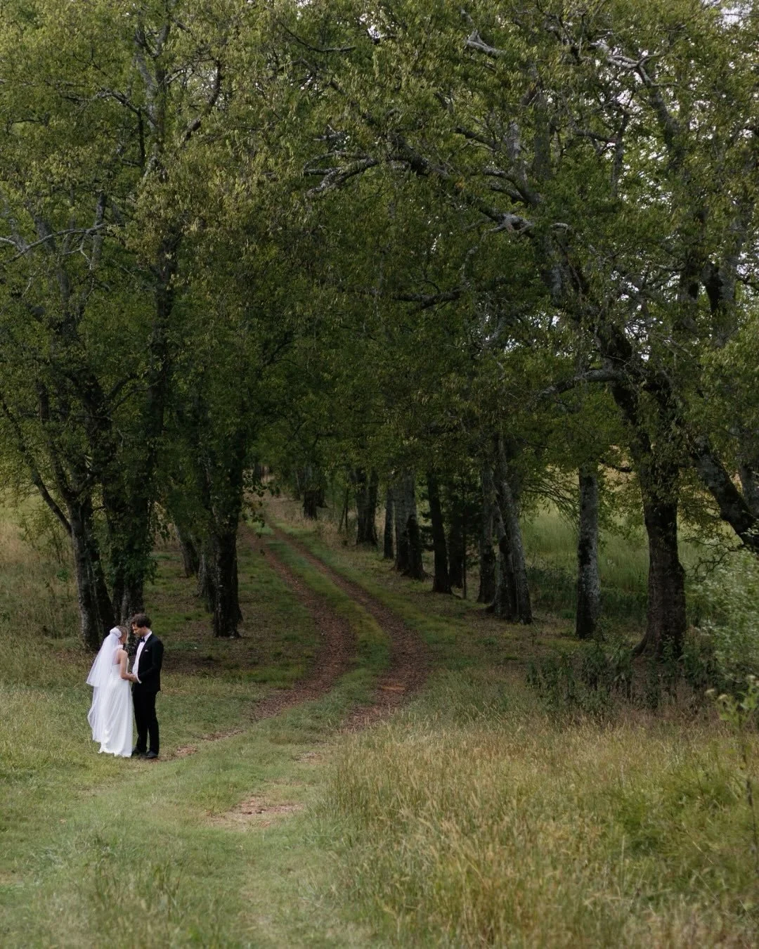 We may be wrapped in December sparkle right now, but this October wedding gallery dropped in our inbox and stopped us cold. Amy and Ethan&rsquo;s ceremony on the River Lawn is a green-filled dream! 💚 

Photography &mdash; @maggiedunn.co 
Florals &md