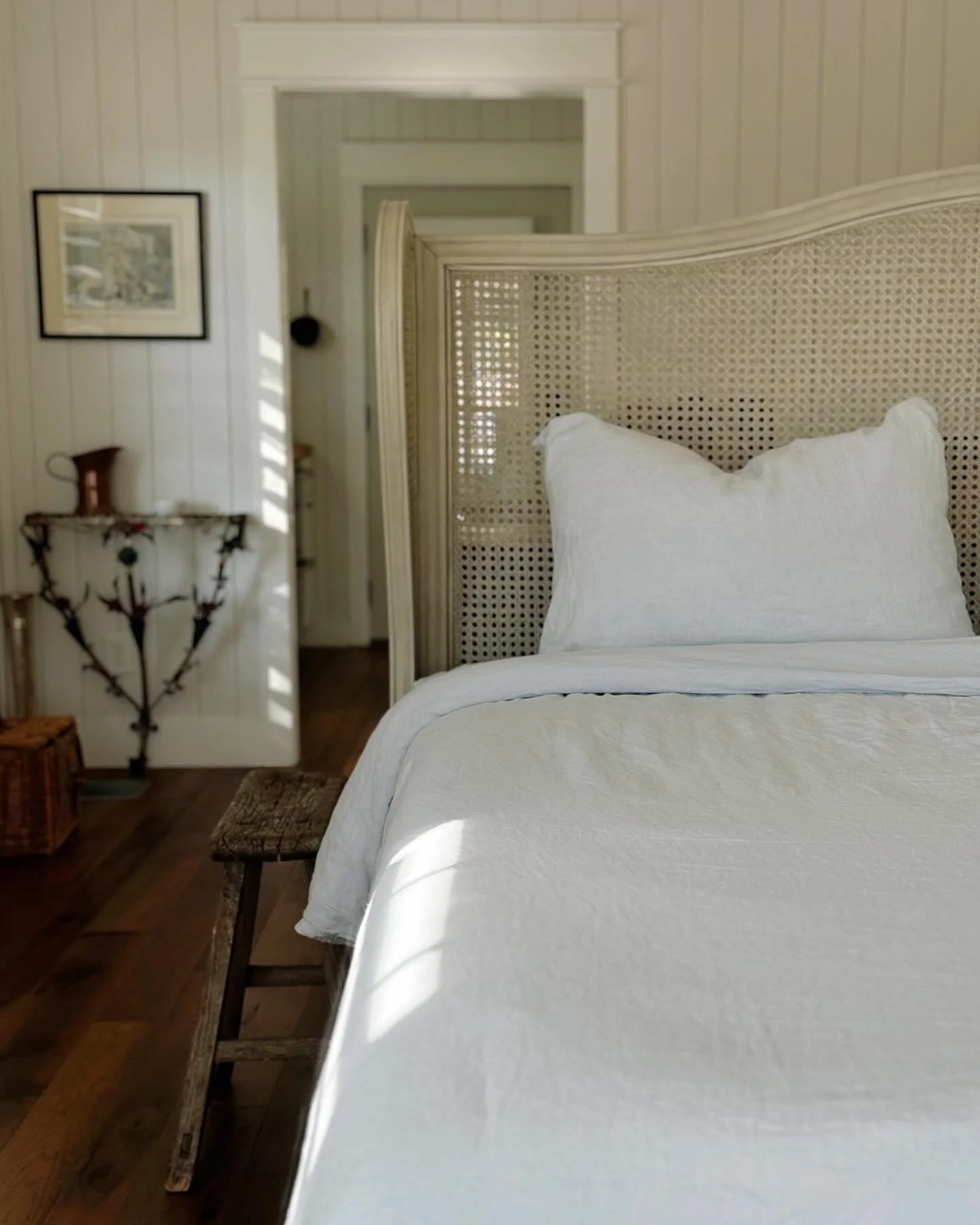 Proof that winter has a soft side.