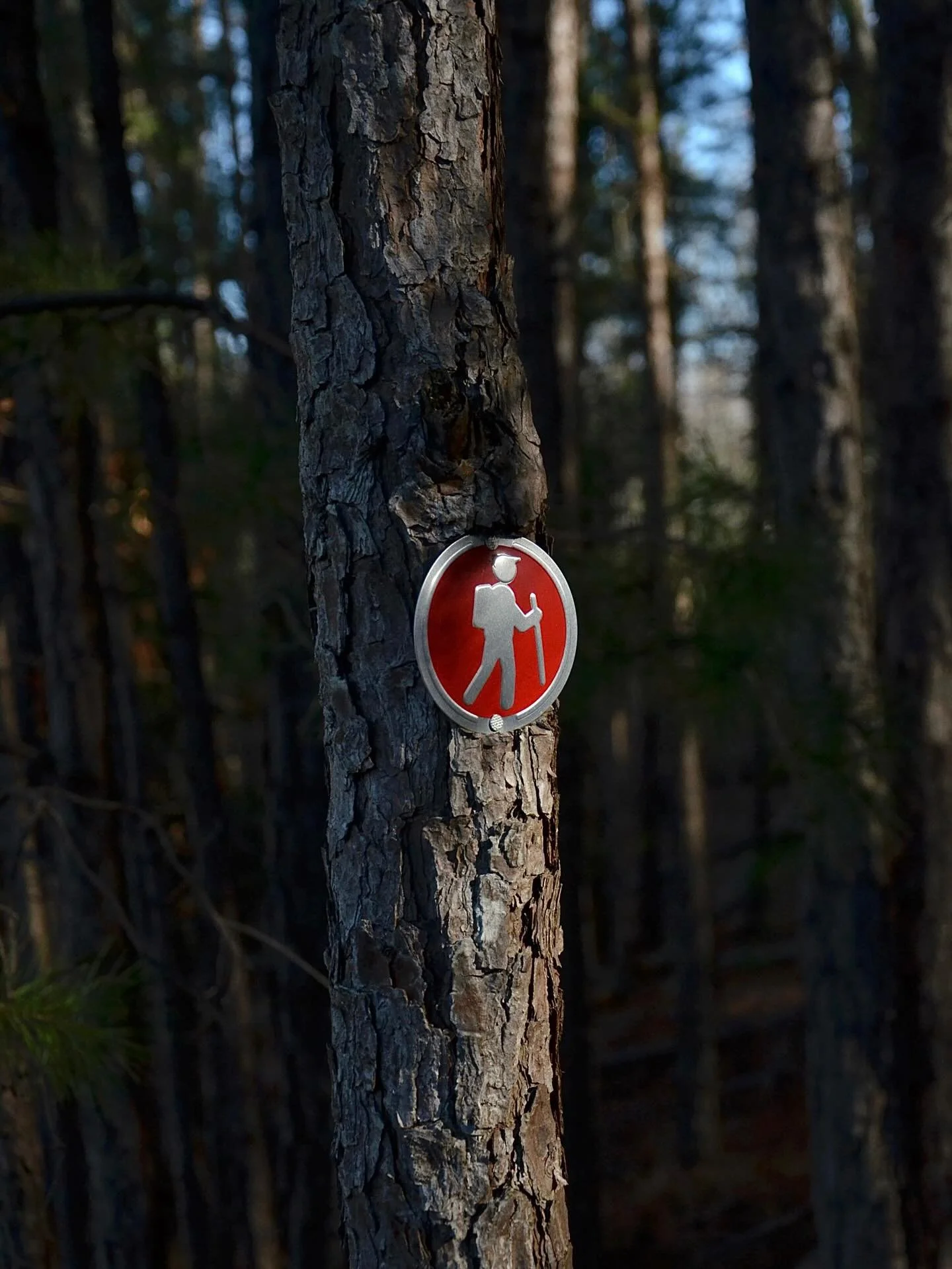 Come on&hellip;you know this is a &ldquo;meet me on the trail&rdquo; kind of day.