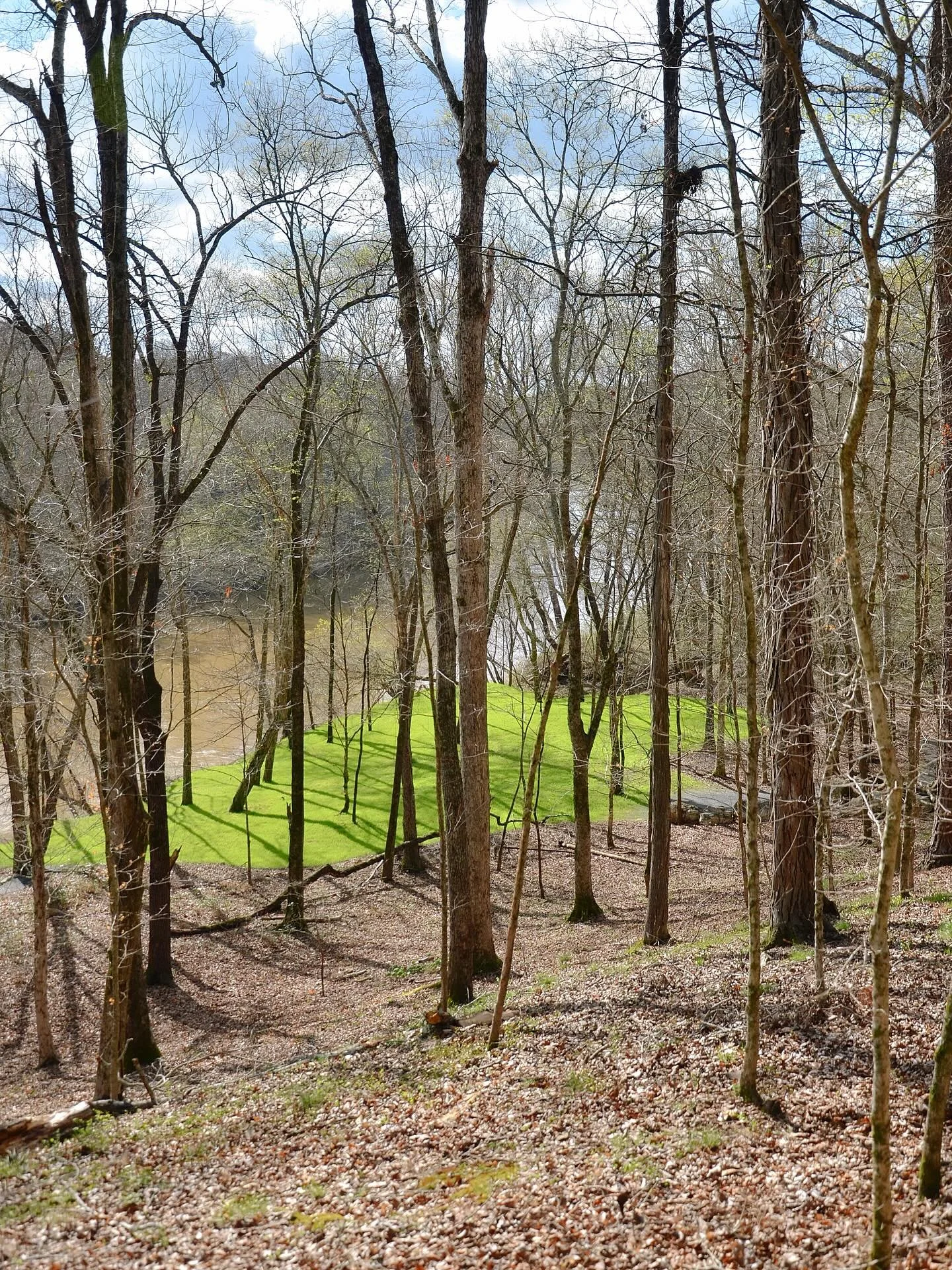 The River Lawn, a place to avoid the pinch. 🍀