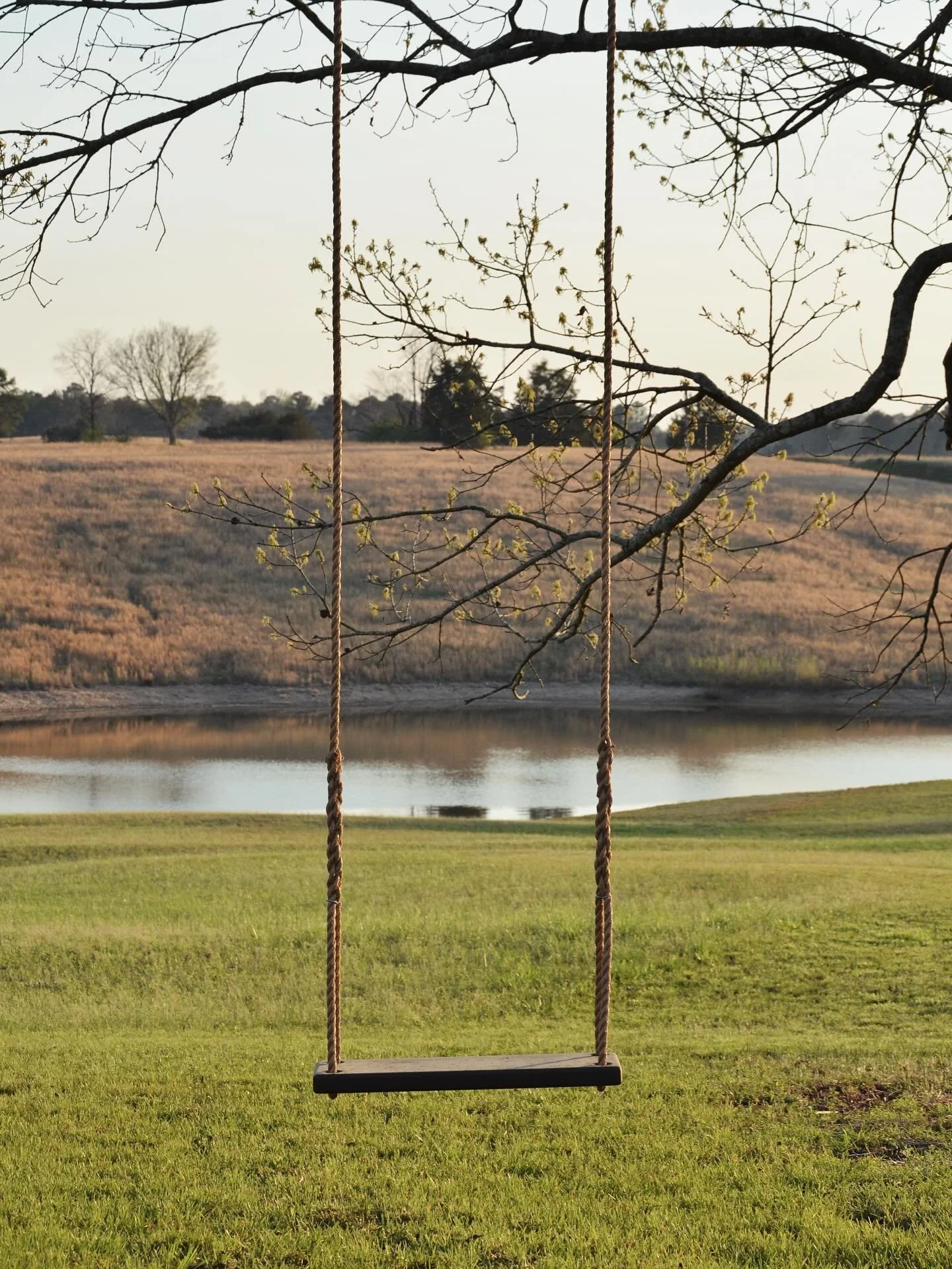 Spring, arriving slowly, right in front of you.