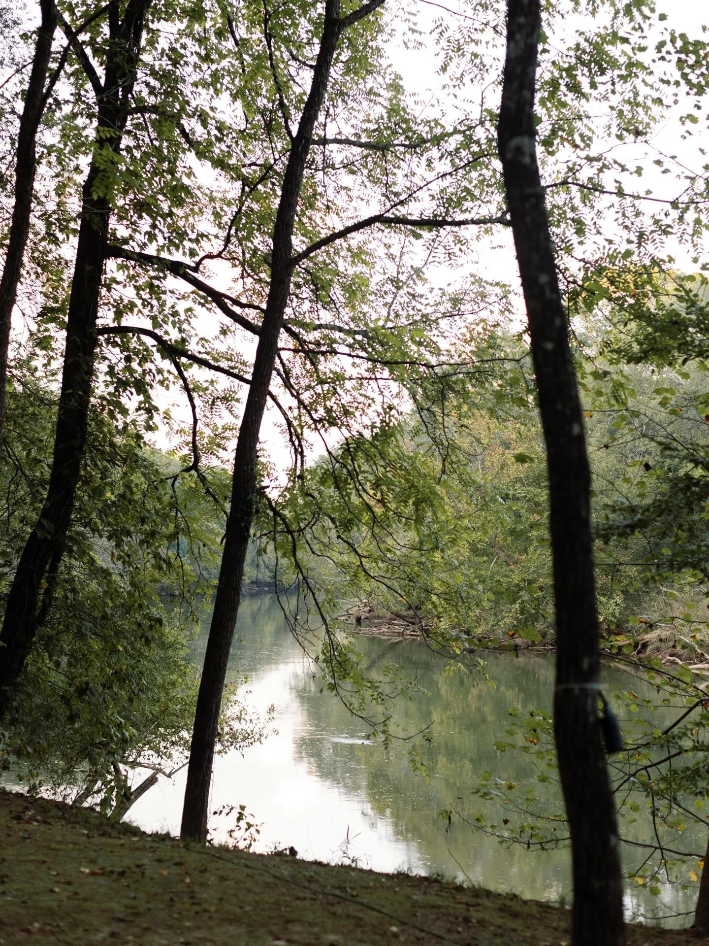 Two visions, one river&rsquo;s edge. 

One couple hosted an open-air wedding reception beneath chandeliers and tree canopies. Another let the landscape guide their outdoor ceremony, leading guests between the water and woodlands with every detail ins