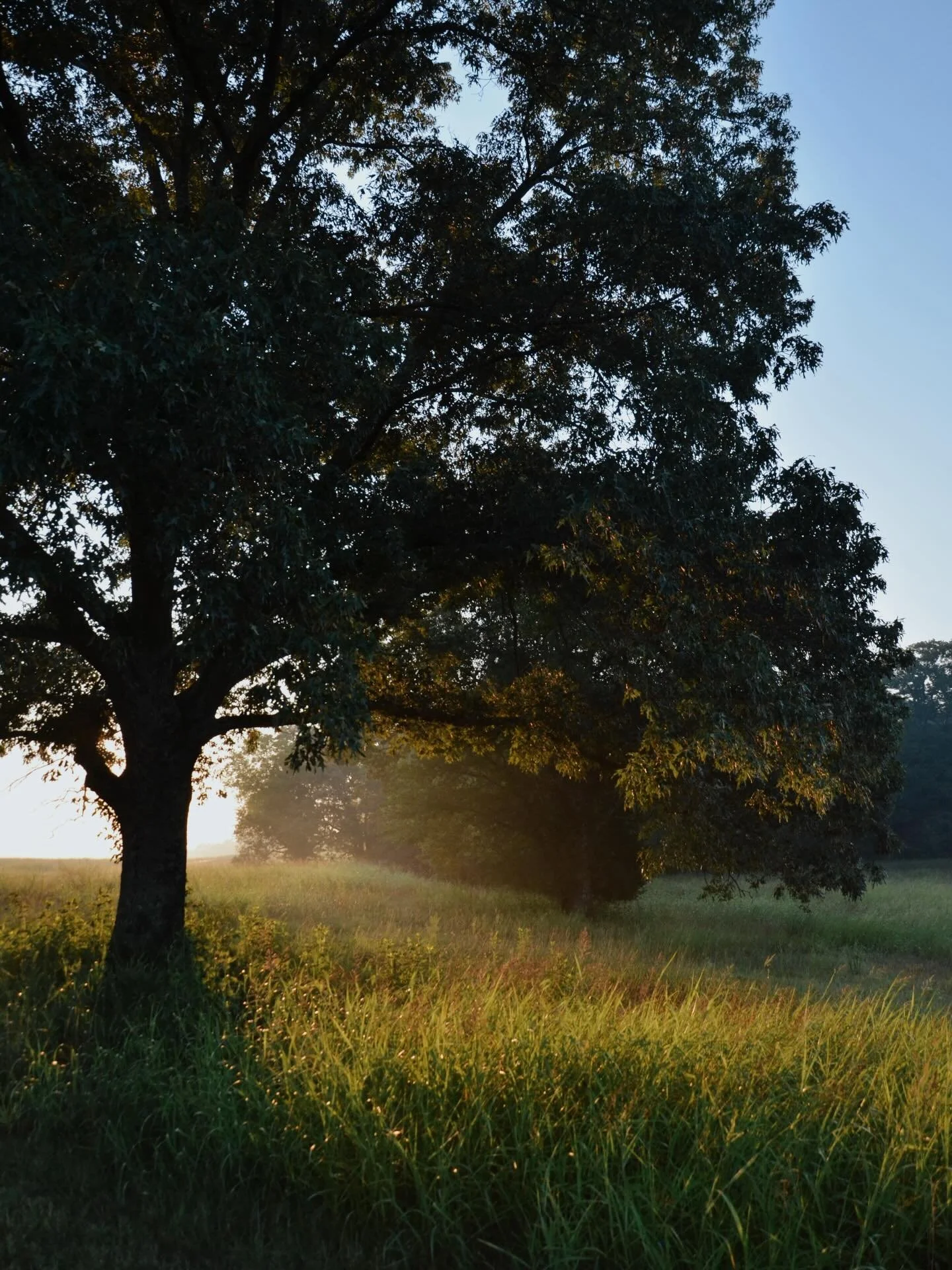 A beautiful scene to welcome a new day.
