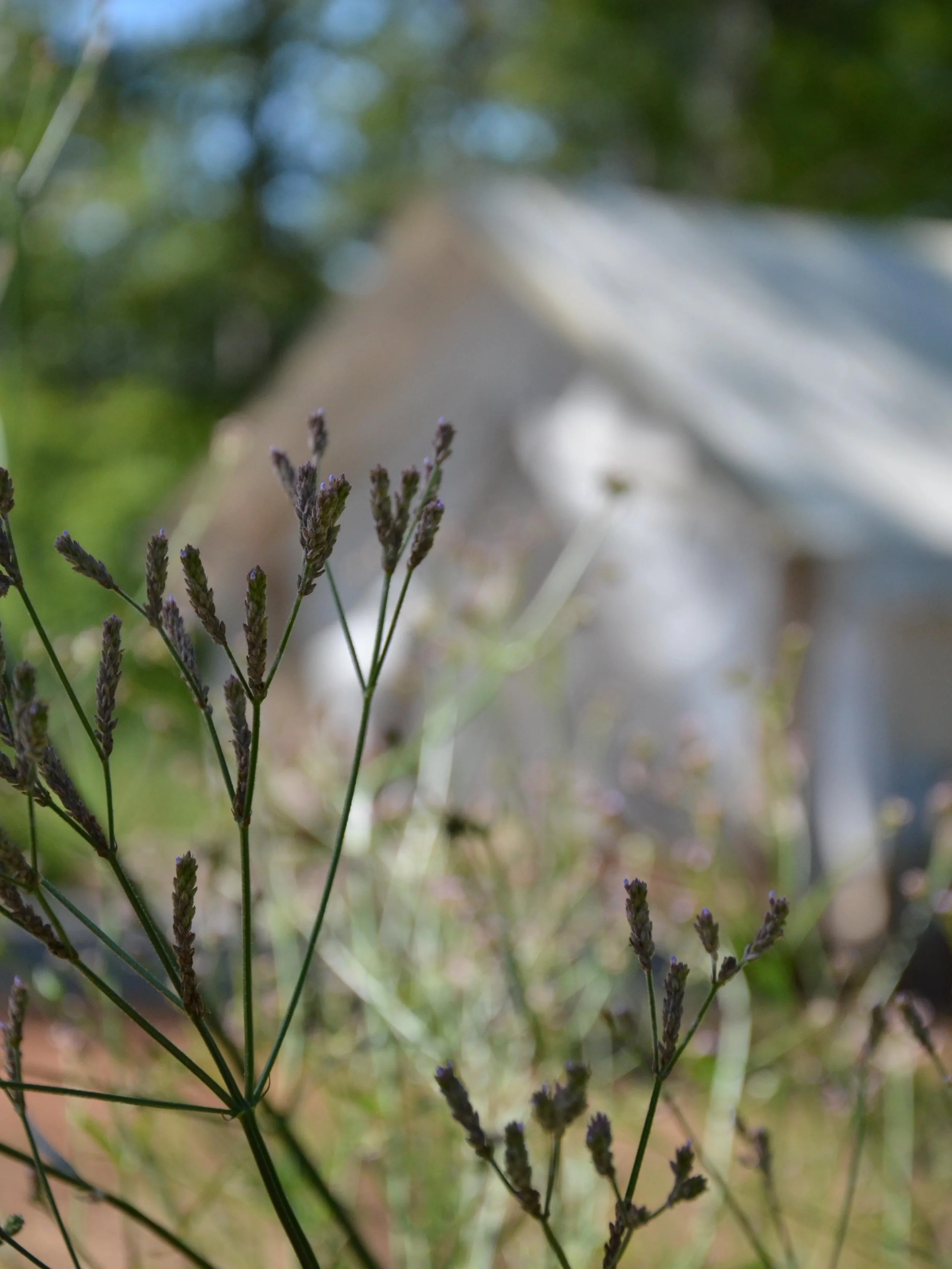 Some things only come into focus when you slow down.