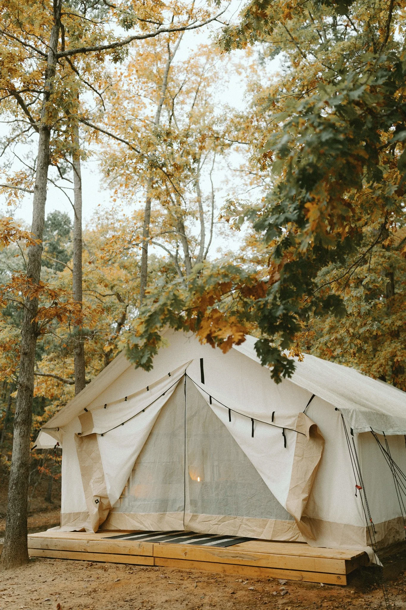 Timberline Glamping 2021-3-X4.jpg