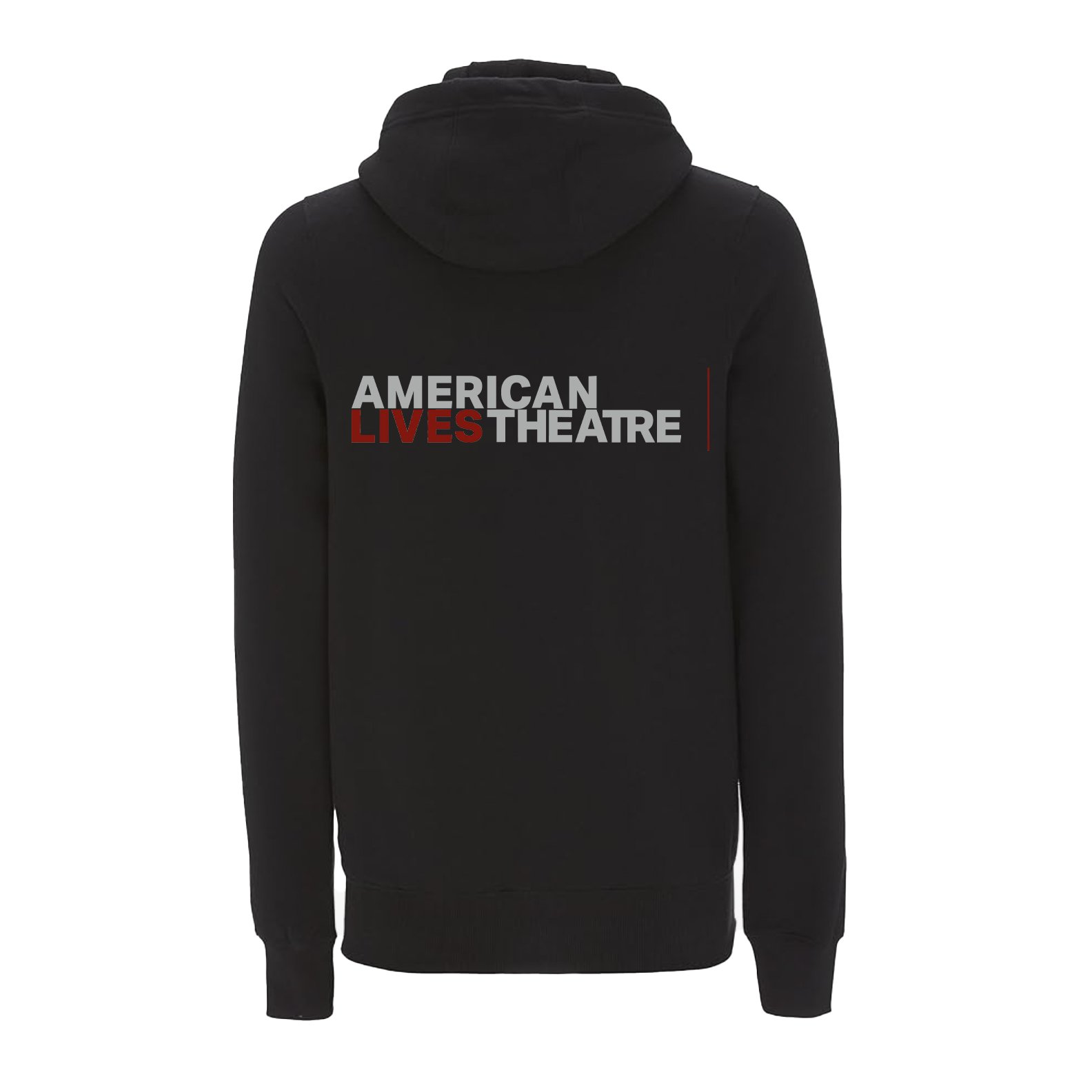 ALT_HOODIE_BACK.jpg