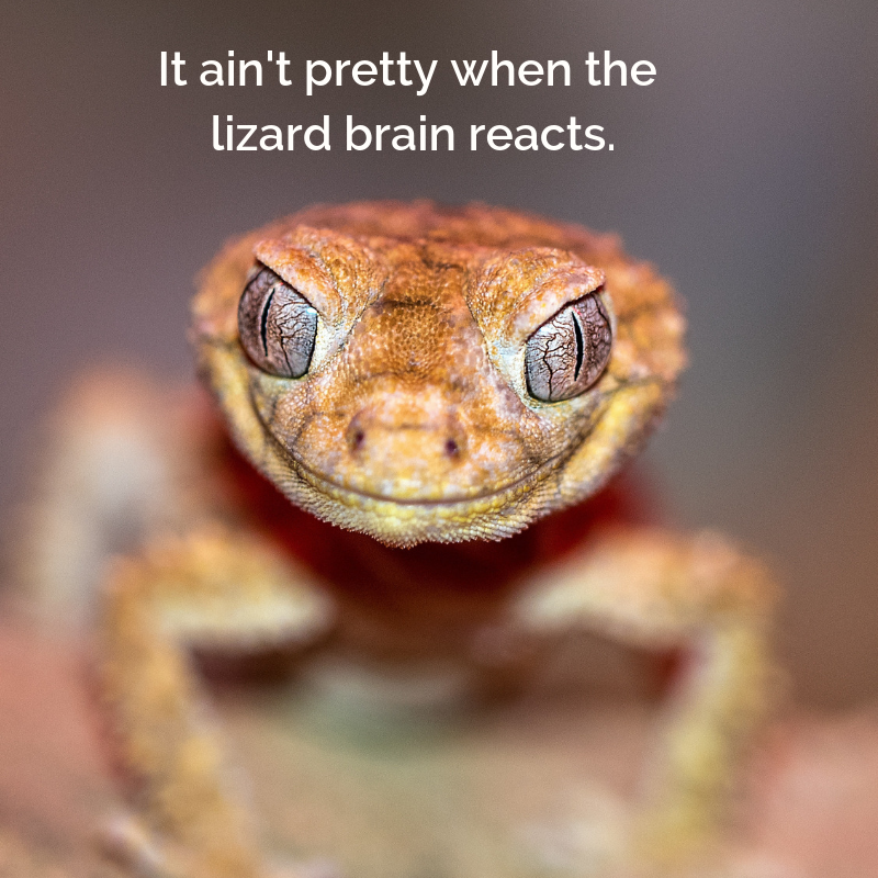 Are we slaves to our lizard brain?