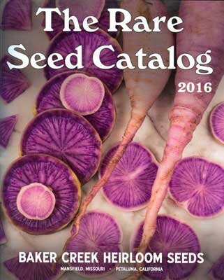 Hail to the Mighty Kale: Best Heirloom Plant To Grow For Smoothies