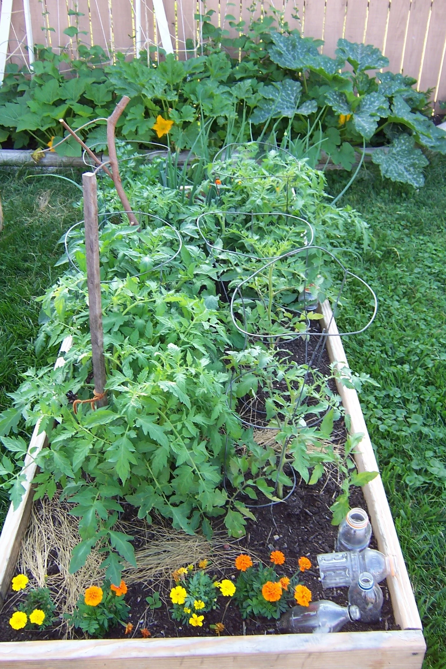 2010 Garden Planning