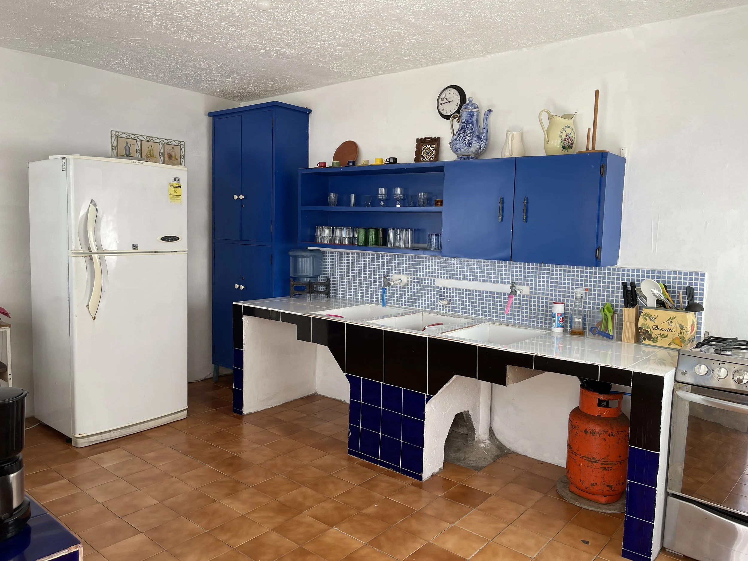 2022-03-31 10.26.34.JPG