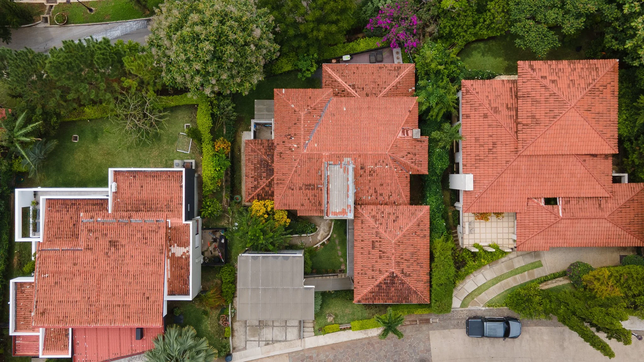 DJI_0556.jpg