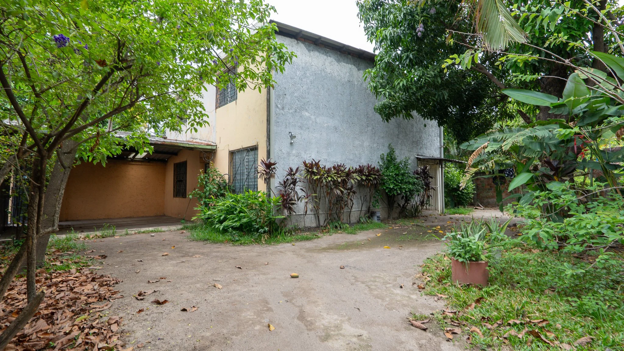 DSC04795.jpg