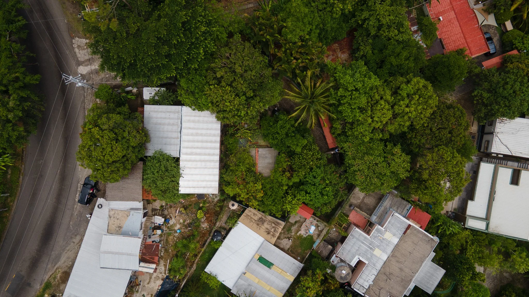 DJI_0563.jpg