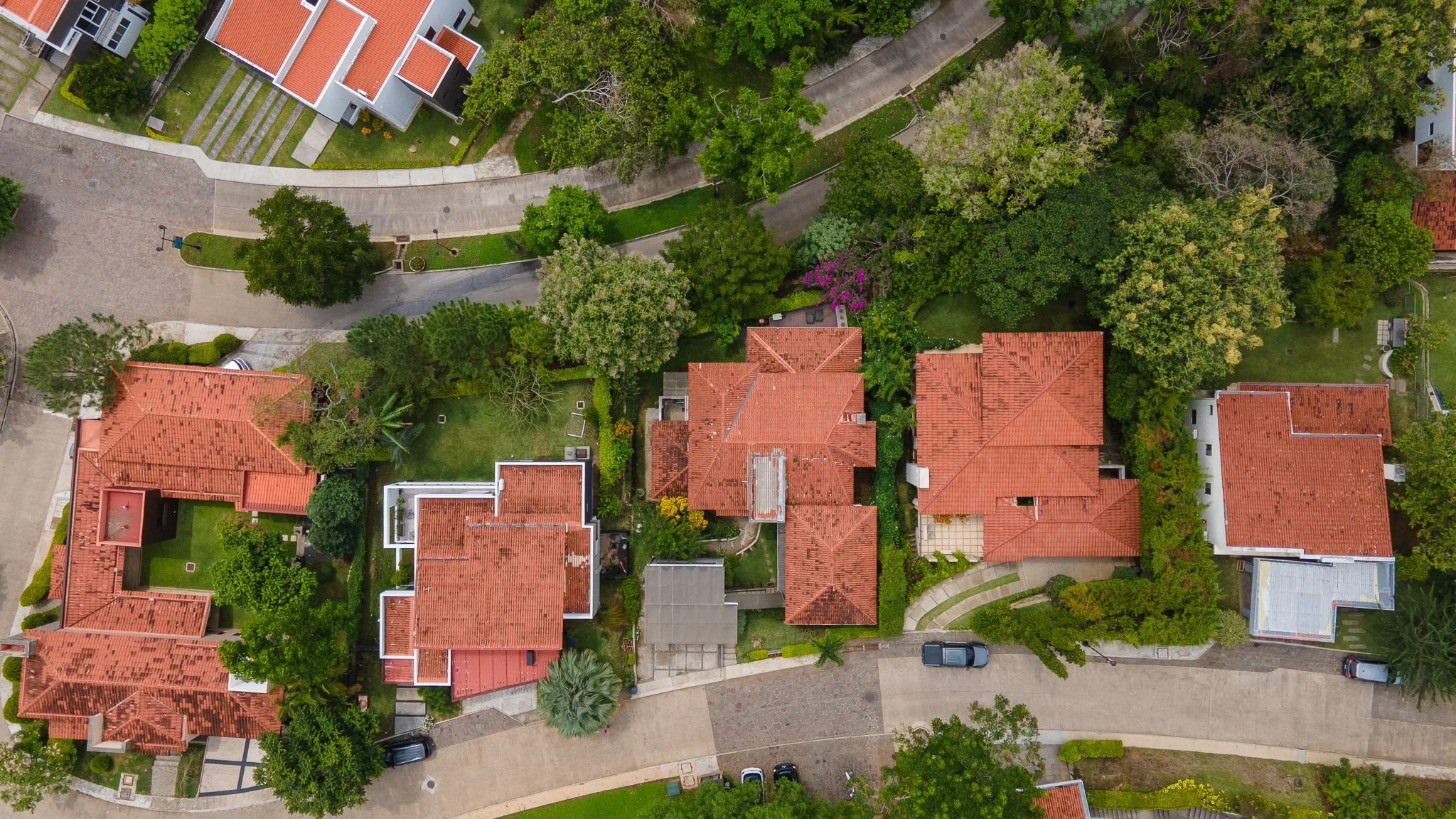 DJI_0553.jpg
