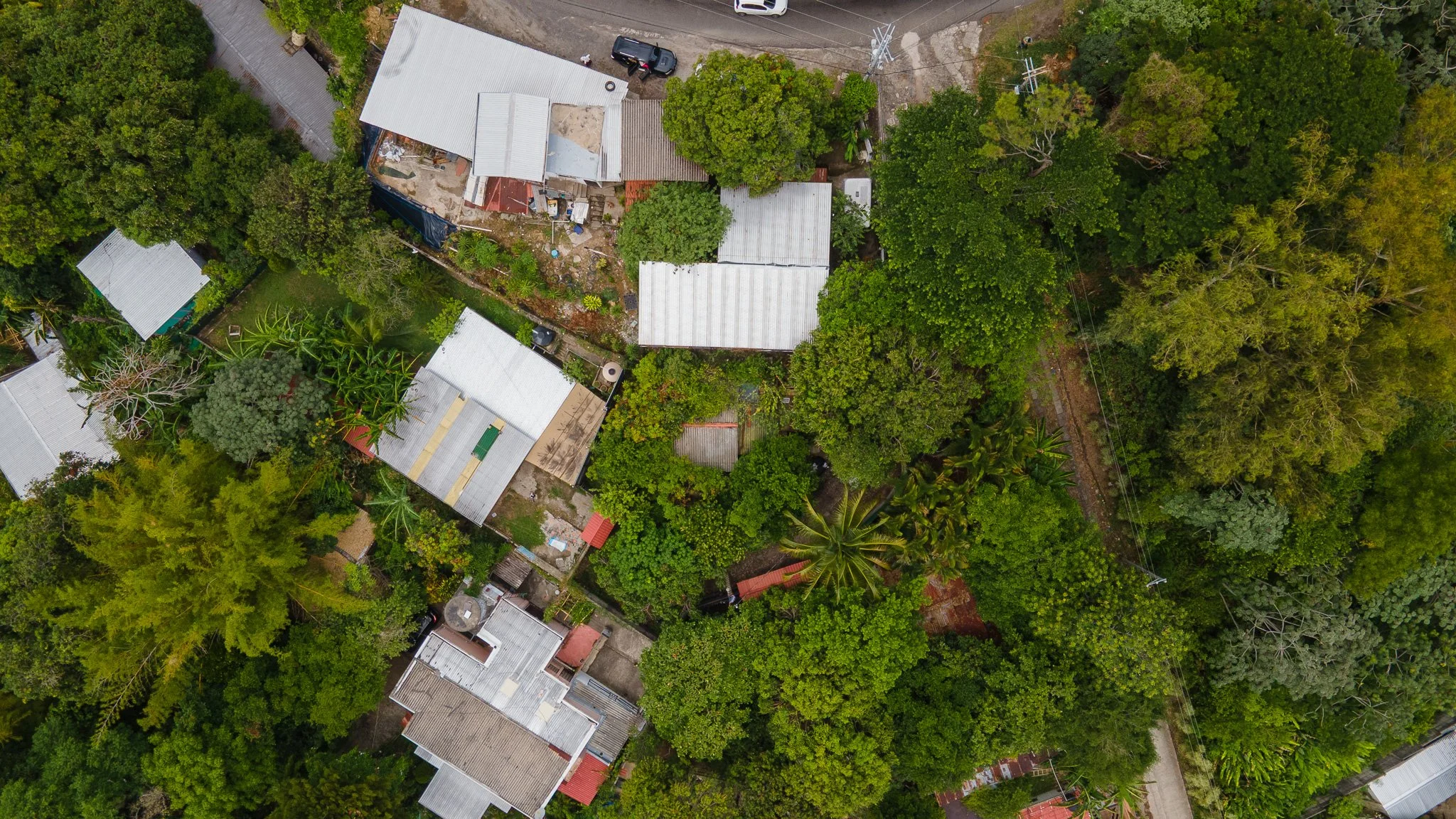 DJI_0564.jpg