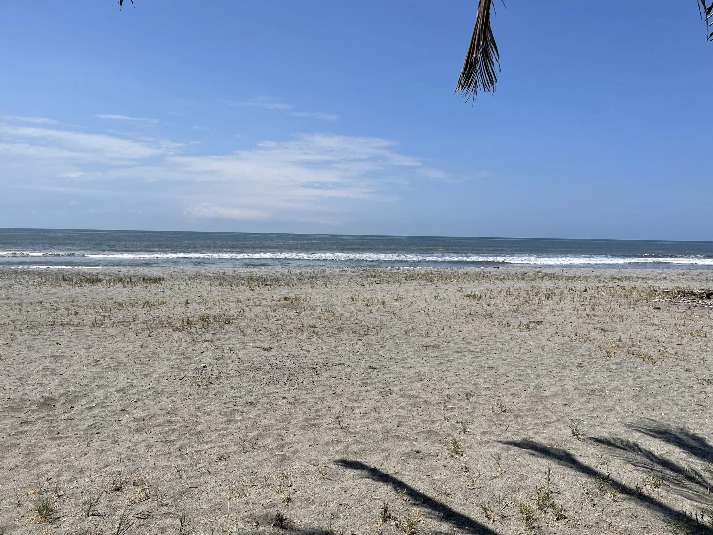 2022-03-31 10.27.49.JPG