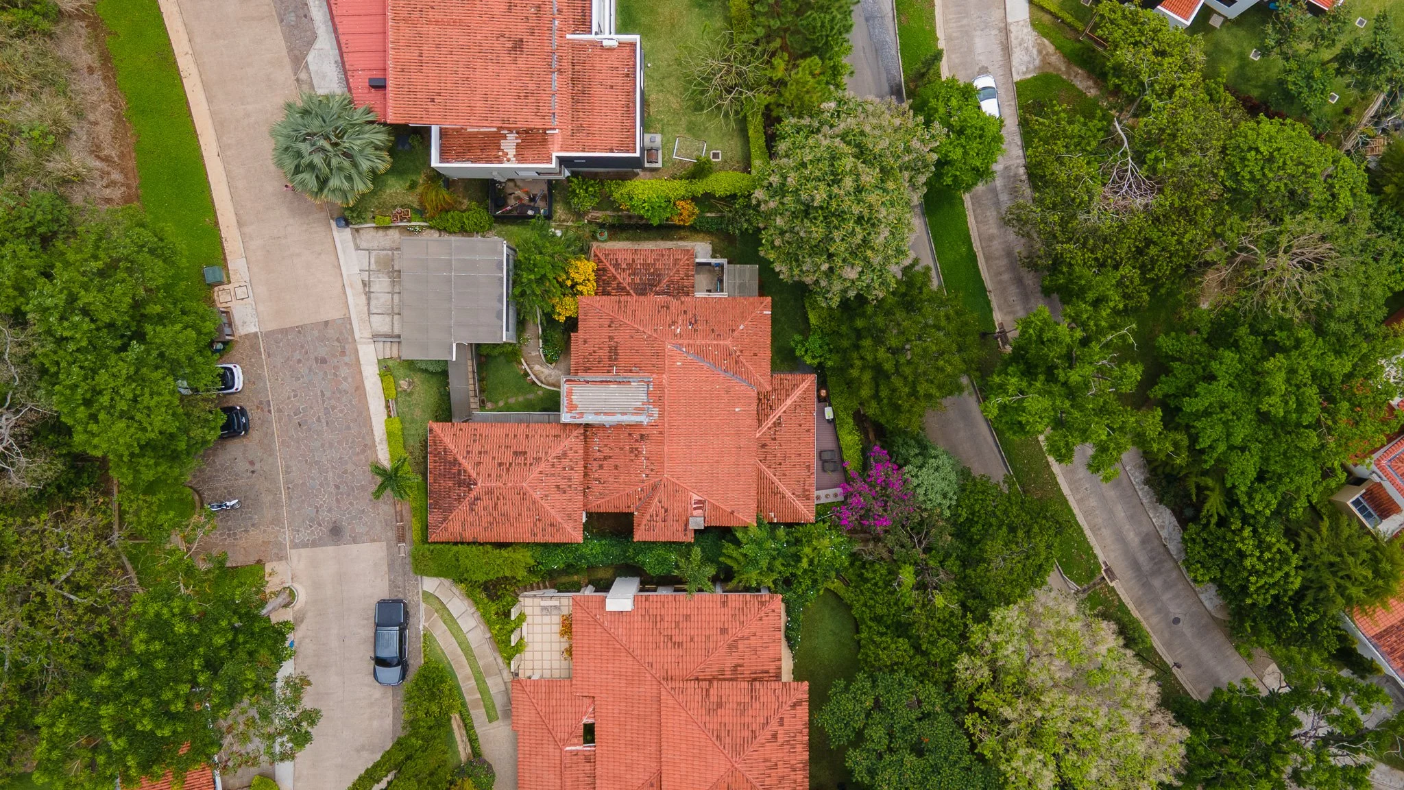 DJI_0554.jpg
