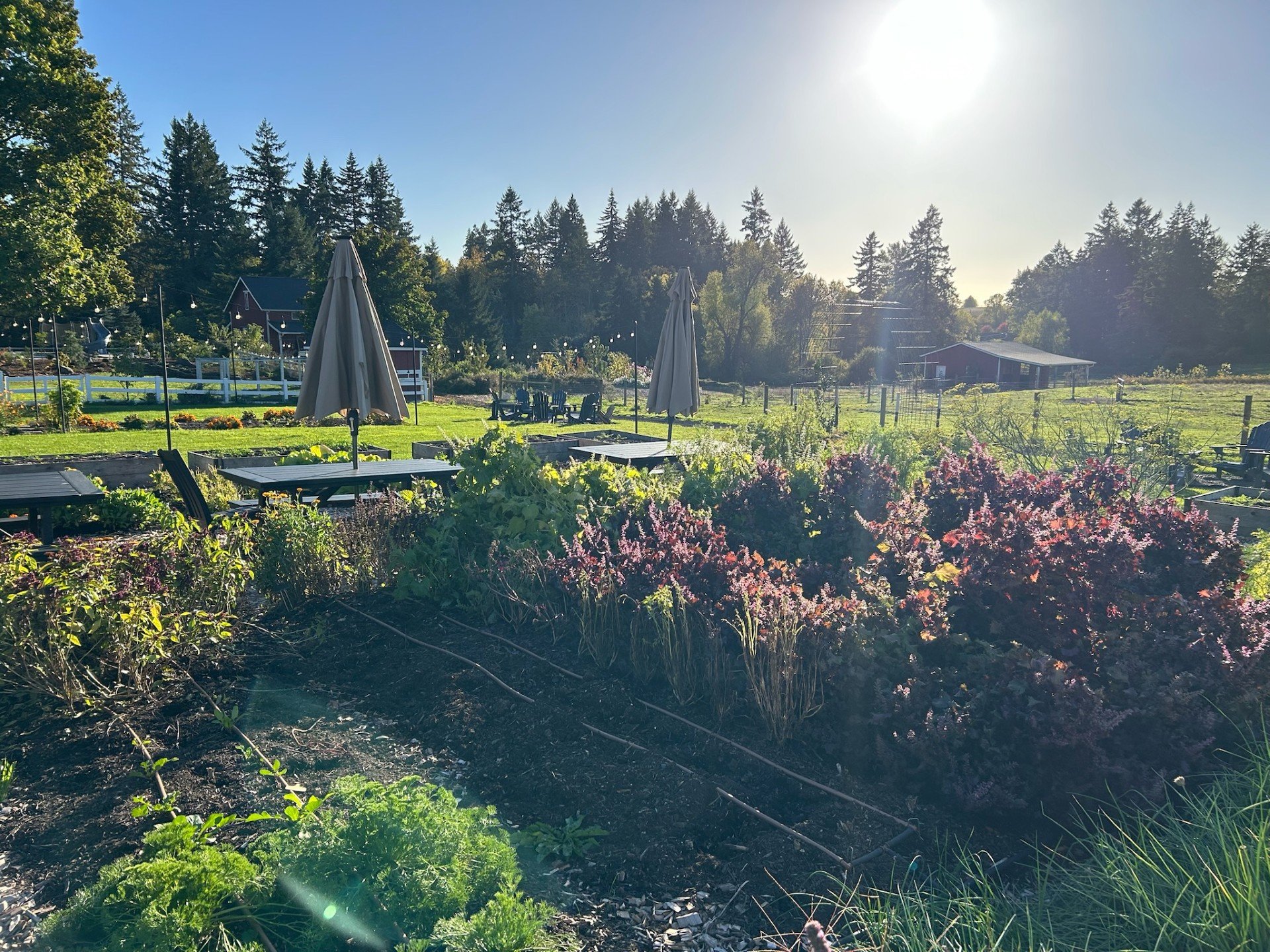 Connect &amp; Retreat