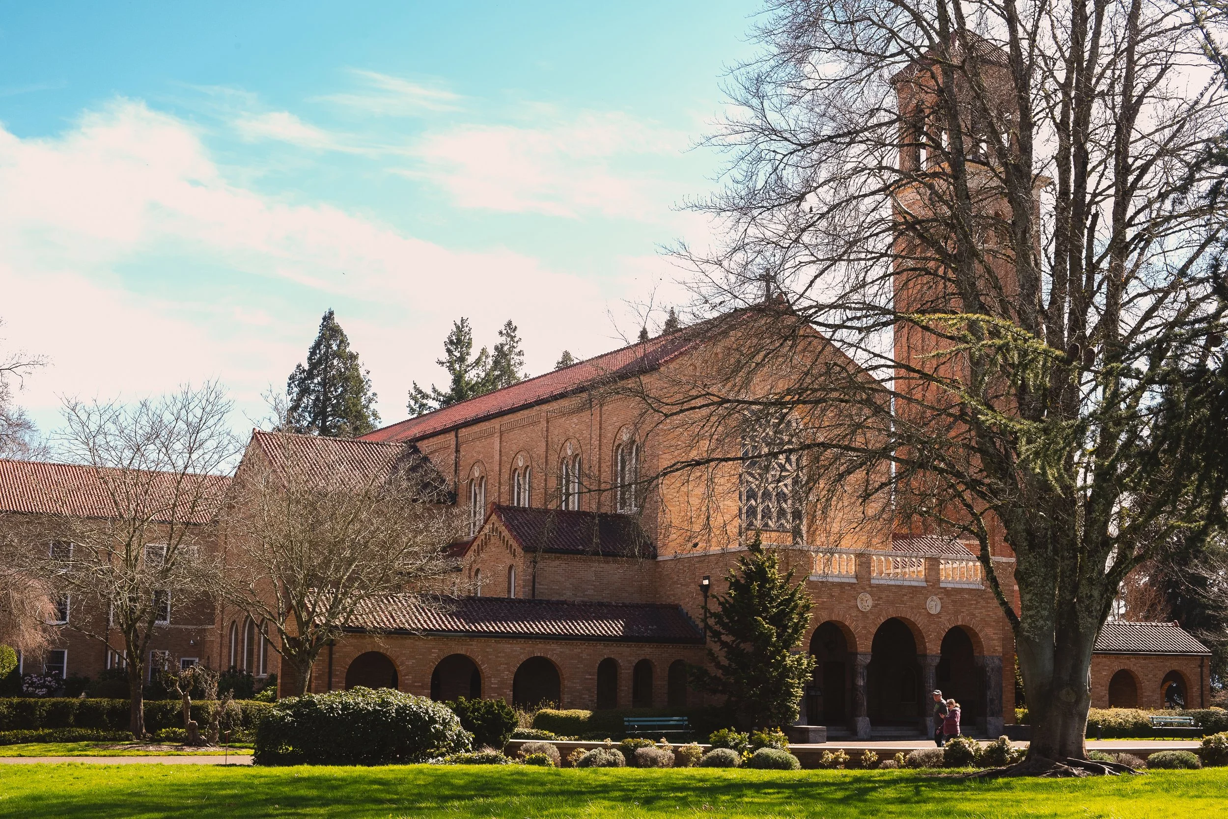 Sunset over a hilly landscape with trees and a vineyard in the foreground, partly cloudy sky.
