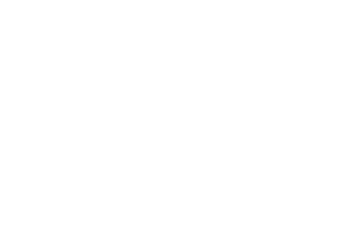 Shalom Collective
