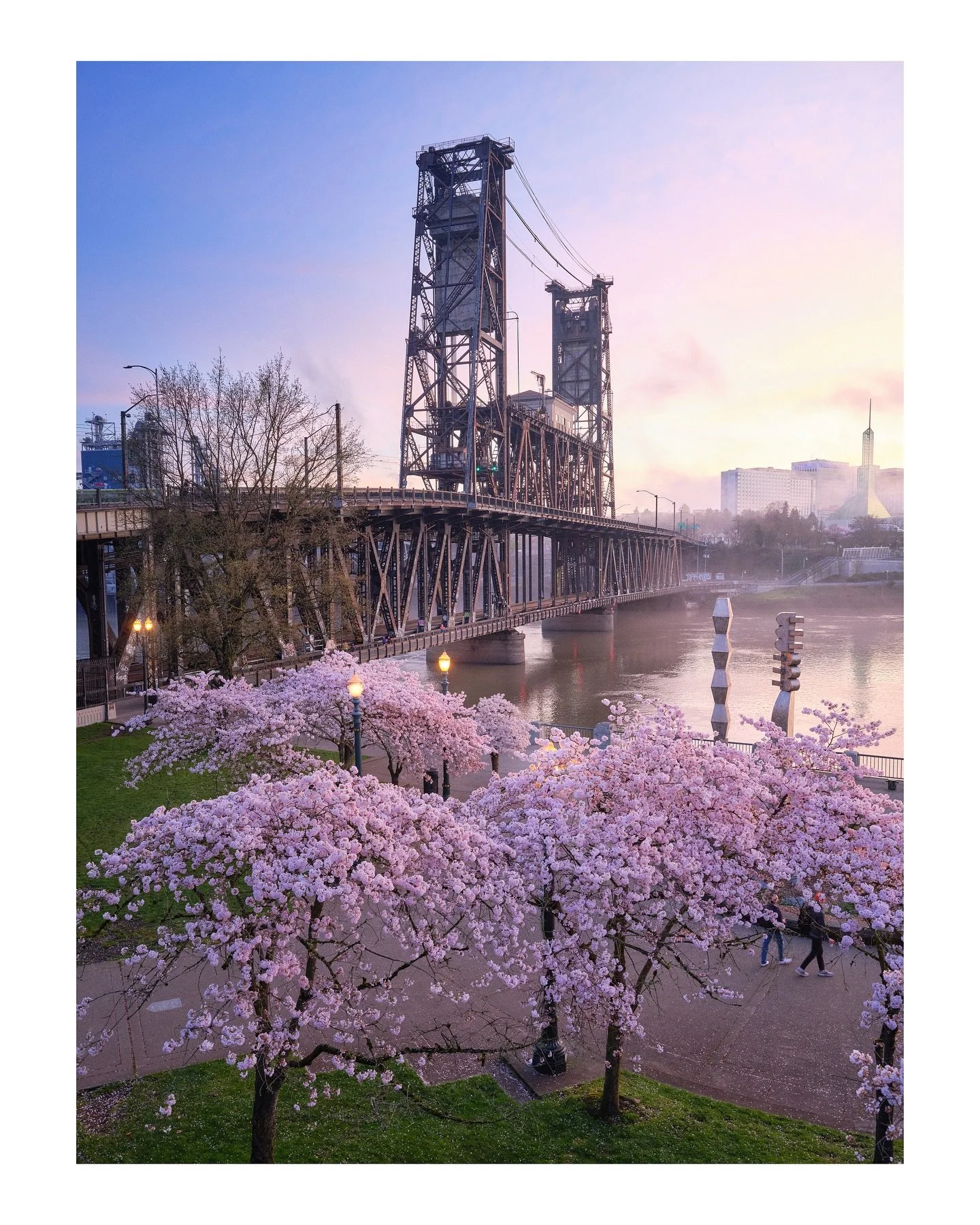 &ldquo;War-torn&rdquo; Portland, Oregon 

yeah im just going to leave this here 🙄
&bull;
&bull;
&bull;
#portland #portlandoregon #rosecity #stumptown #pdx #oregon #pnwonderland