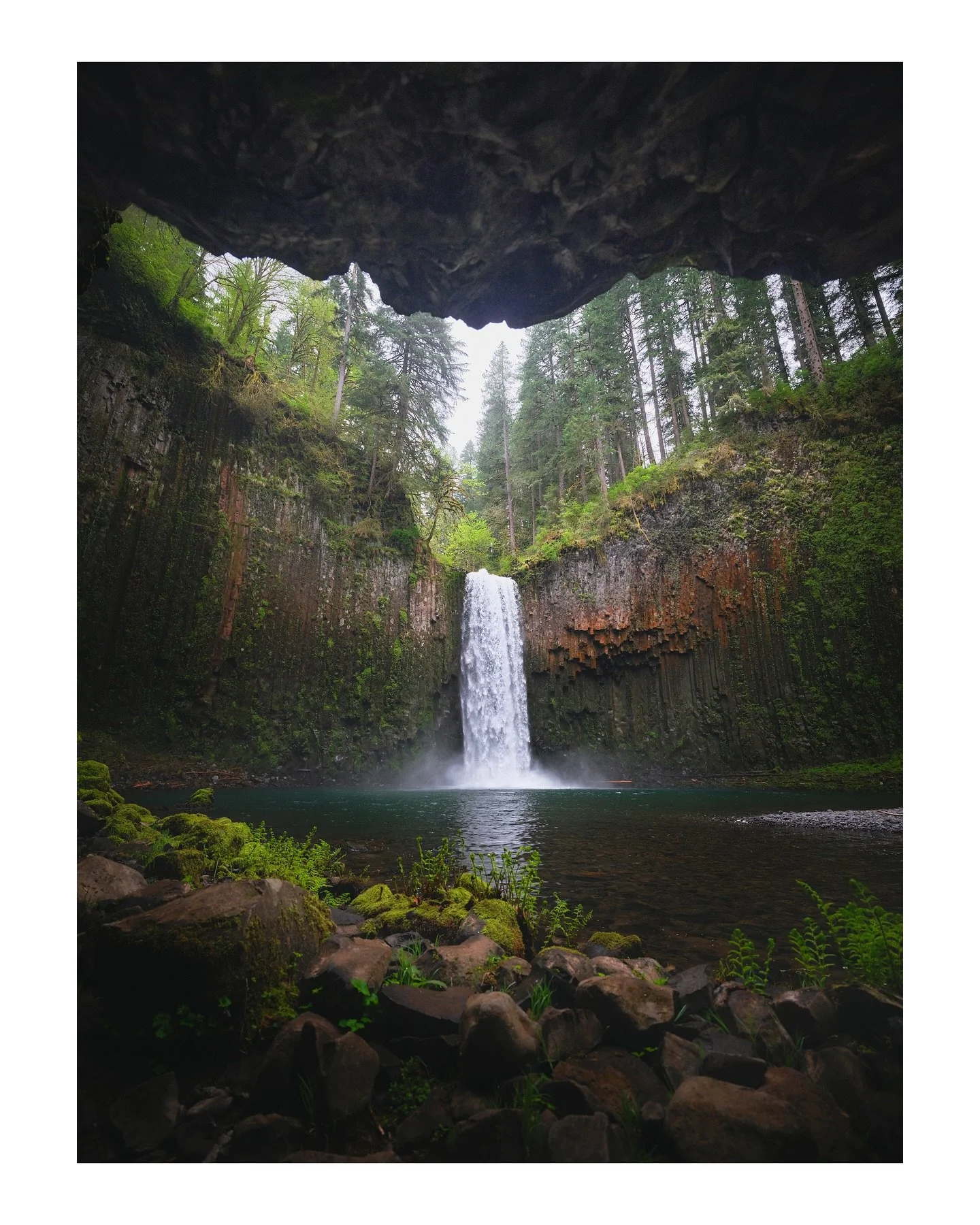 Find peace in nature

Oregon
April | 2025 
📸 GFX 100s

➡️ DM FOR PRINTS ⬅️
&bull;
&bull;
&bull;
#waterfalls #oregon #pnw #longexposurephotography #chasingwaterfalls #pnwonderland #fujifilm #