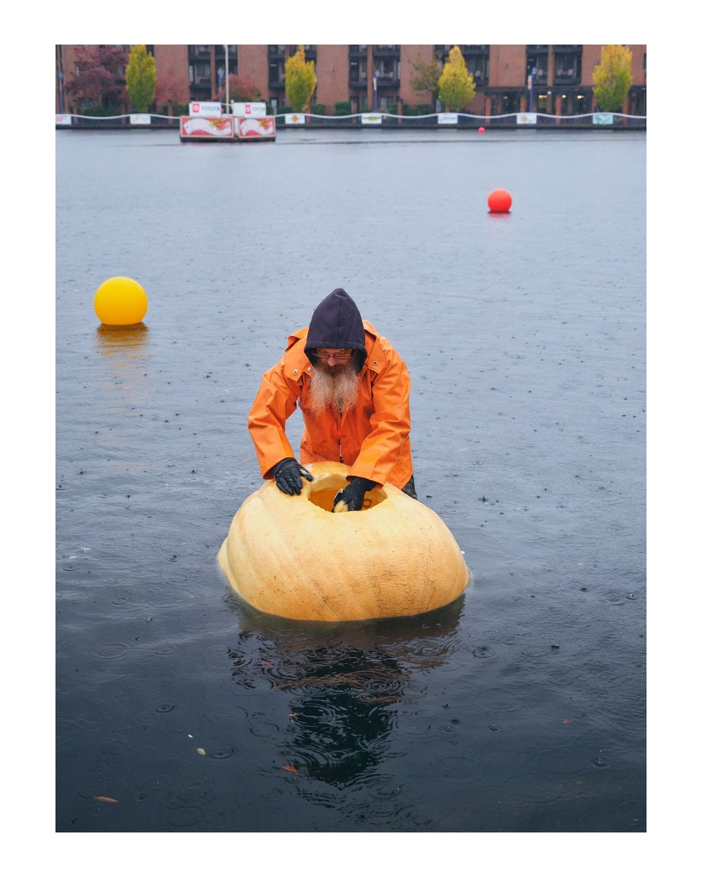 It wouldn&rsquo;t be fall without giant pumpkins 🎃

Tualatin, Oregon
October | 2025
📷 GFX 100s

The West Coast Giant Pumpkin Regatta. One of the most epic events in the Pacific Northwest (dare I say&hellip;the world?) Every year people come from fa