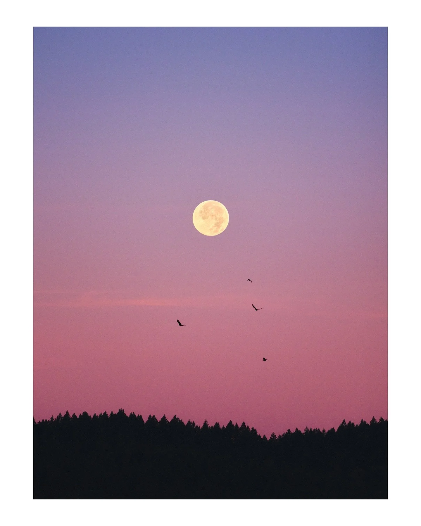 Moonset during the sunrise

Portland, Oregon
October | 2025 
📸 GFX 100s

I woke up one morning not too long ago, and found myself watching both the sunrise and the moonset at the same time while enjoying a cup of coffee. Yes, this picture was taken 