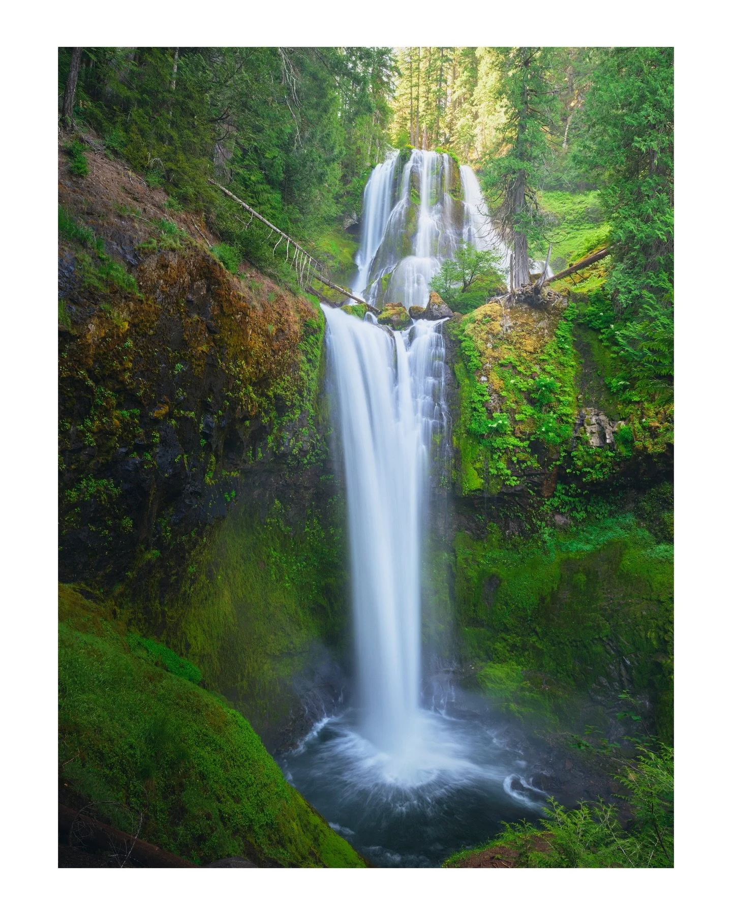 Lost in the PNW

Falls Creek Falls, Washington
June | 2025
📸 GFX100s

✨ ALL PRINTS ARE 20% OFF RIGHT NOW WITH CODE TURKEY20 UNTIL 12/2 ✨
&bull;
&bull;
&bull;
#pacificnorthwest #washingtonstate #pnw #washington #washingtonhikes #pnwhikes #columbiariv