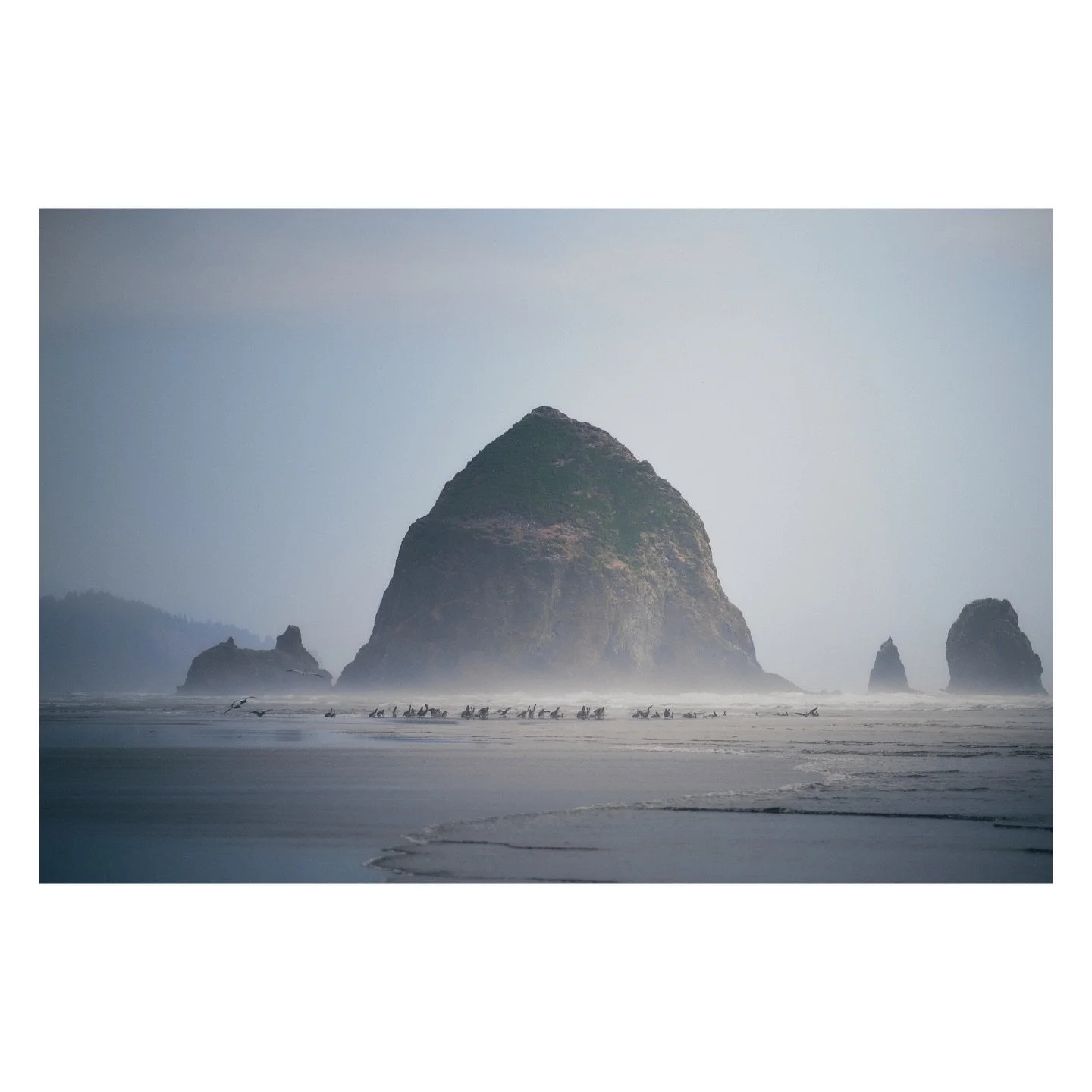 Otherworldly

Cannon Beach, Oregon
May | 2023

A throwback to a hazy spring morning at Haystack rock on the Oregon Coast. You&rsquo;ve seen me share a lot of pelican shots over the years, well this was the first shot I took that day. You can see the 